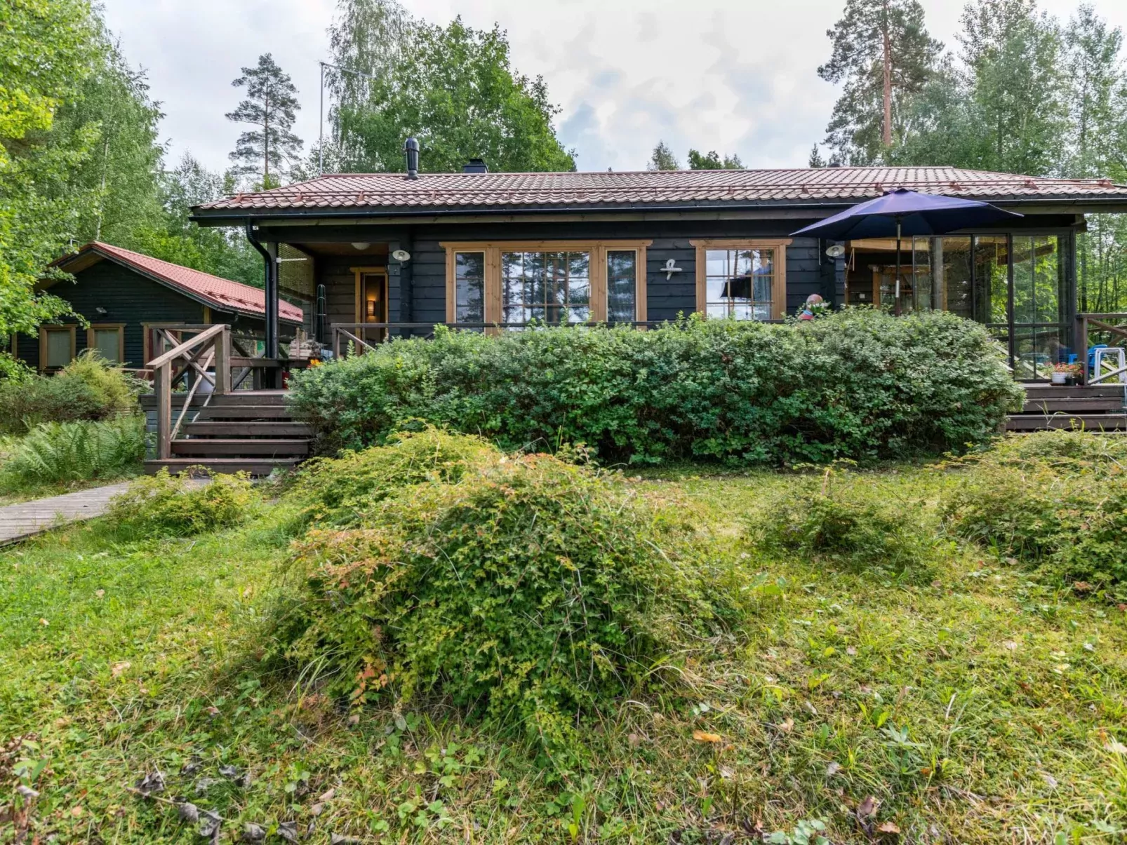 Metsä-iivari-Buiten