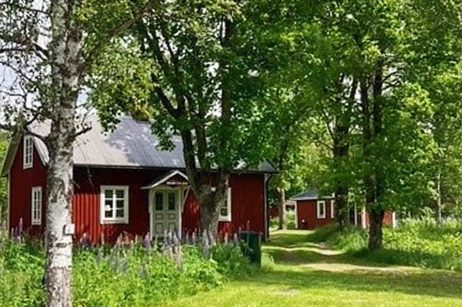 6 persoons vakantie huis in Vislanda-Buitenlucht