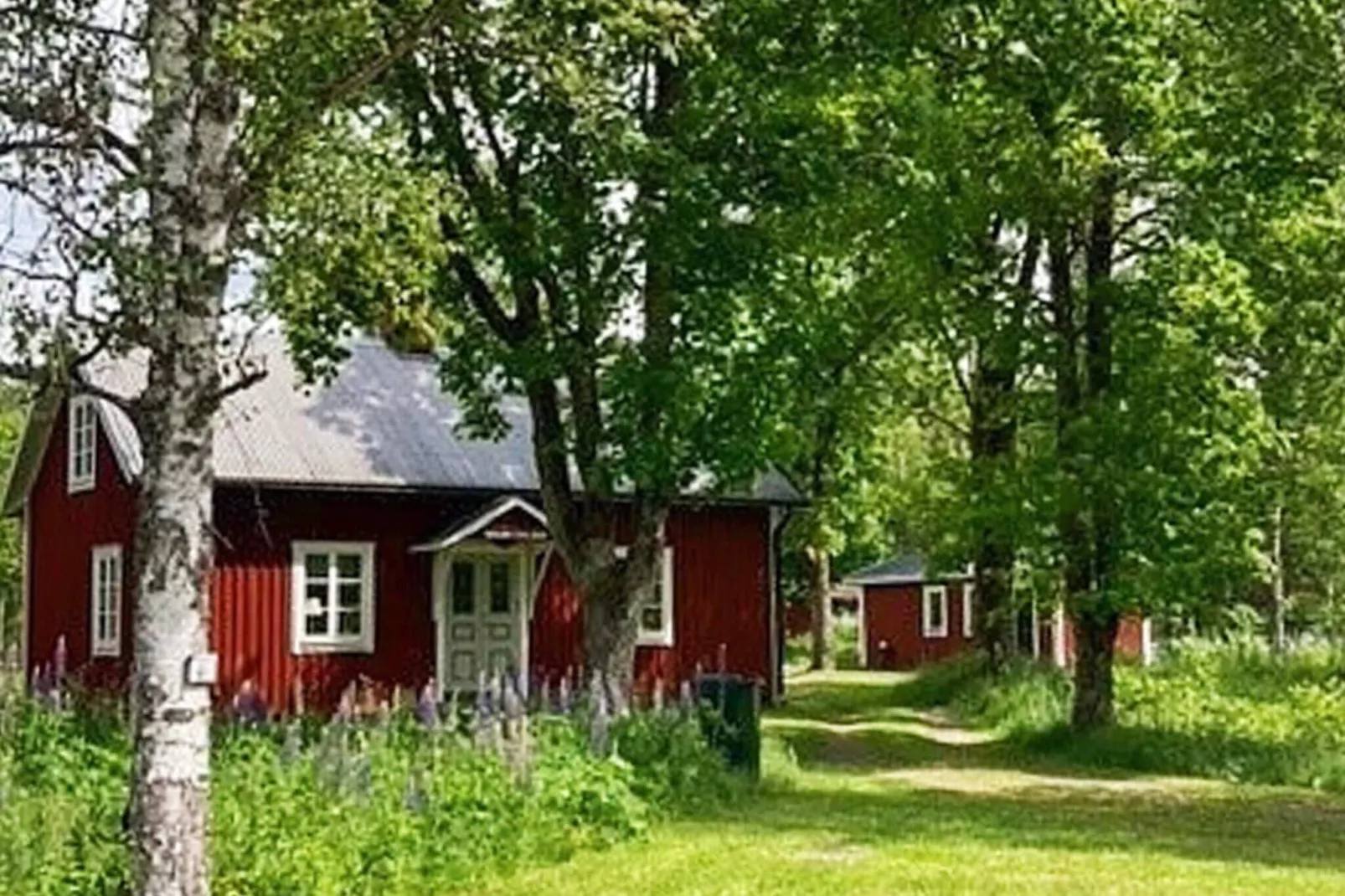 6 persoons vakantie huis in Vislanda-By Traum-Buitenlucht
