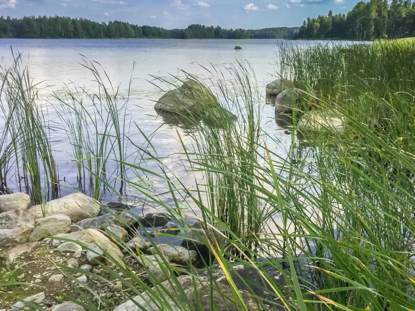 Annelinniemi-Buiten