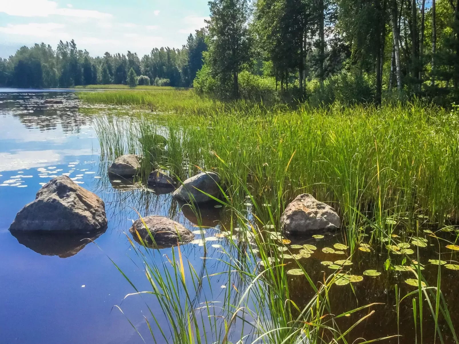 Annelinniemi-Buiten