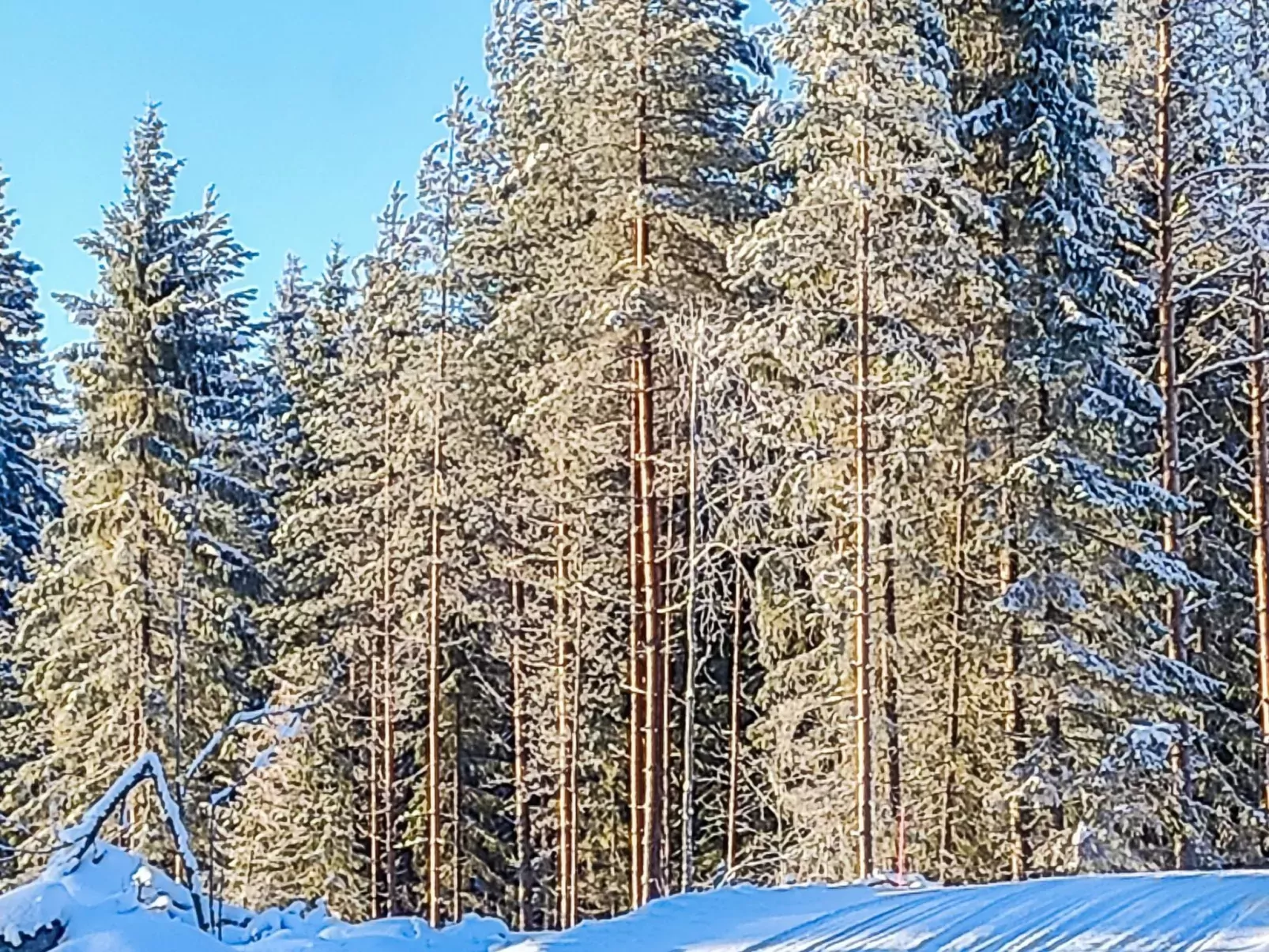 Annelinniemi-Buiten