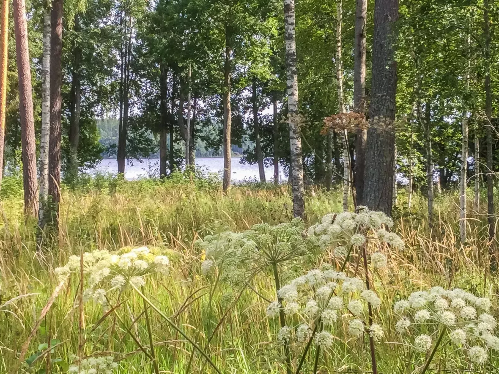 Annelinniemi-Buiten