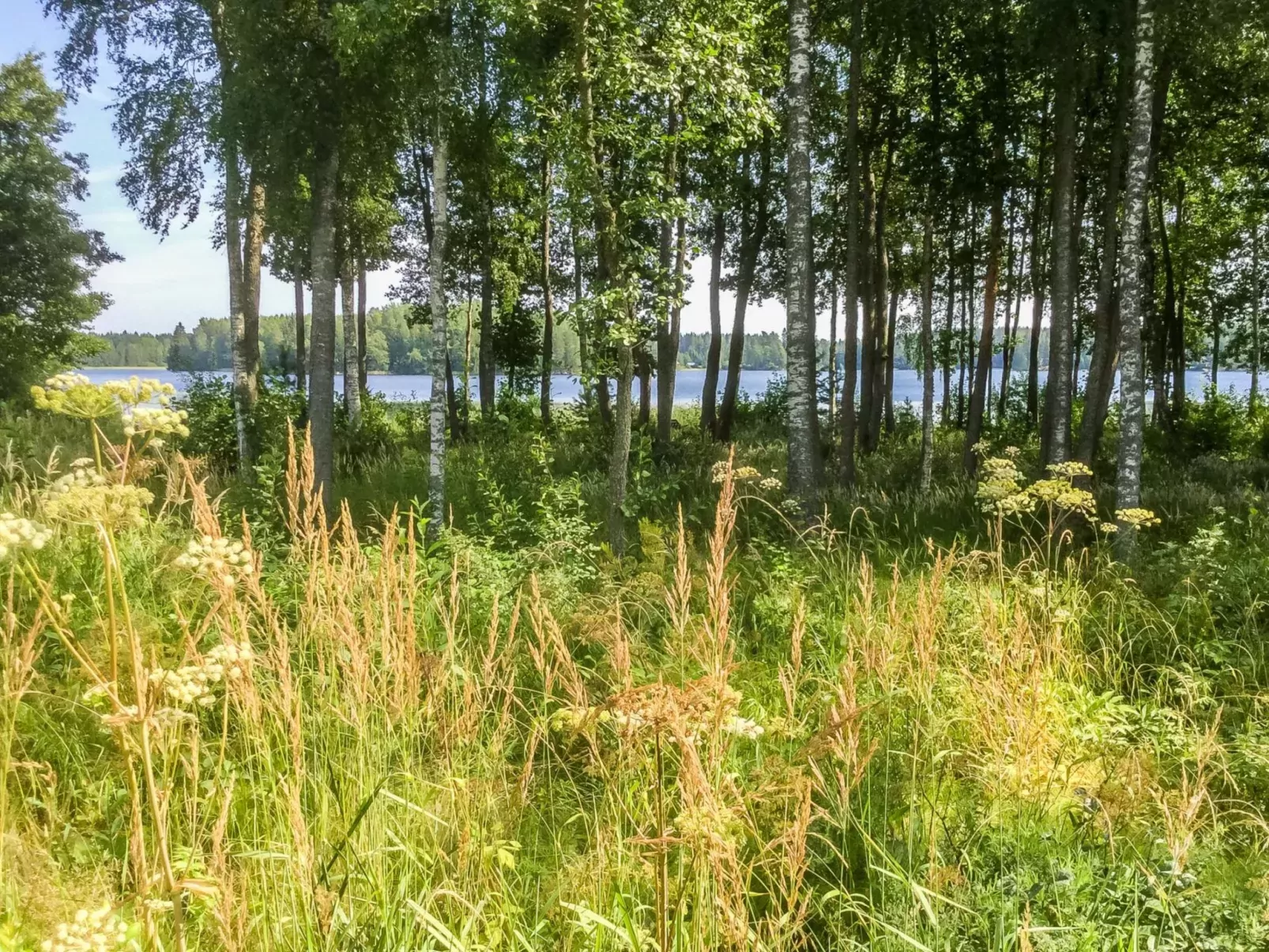Annelinniemi-Buiten