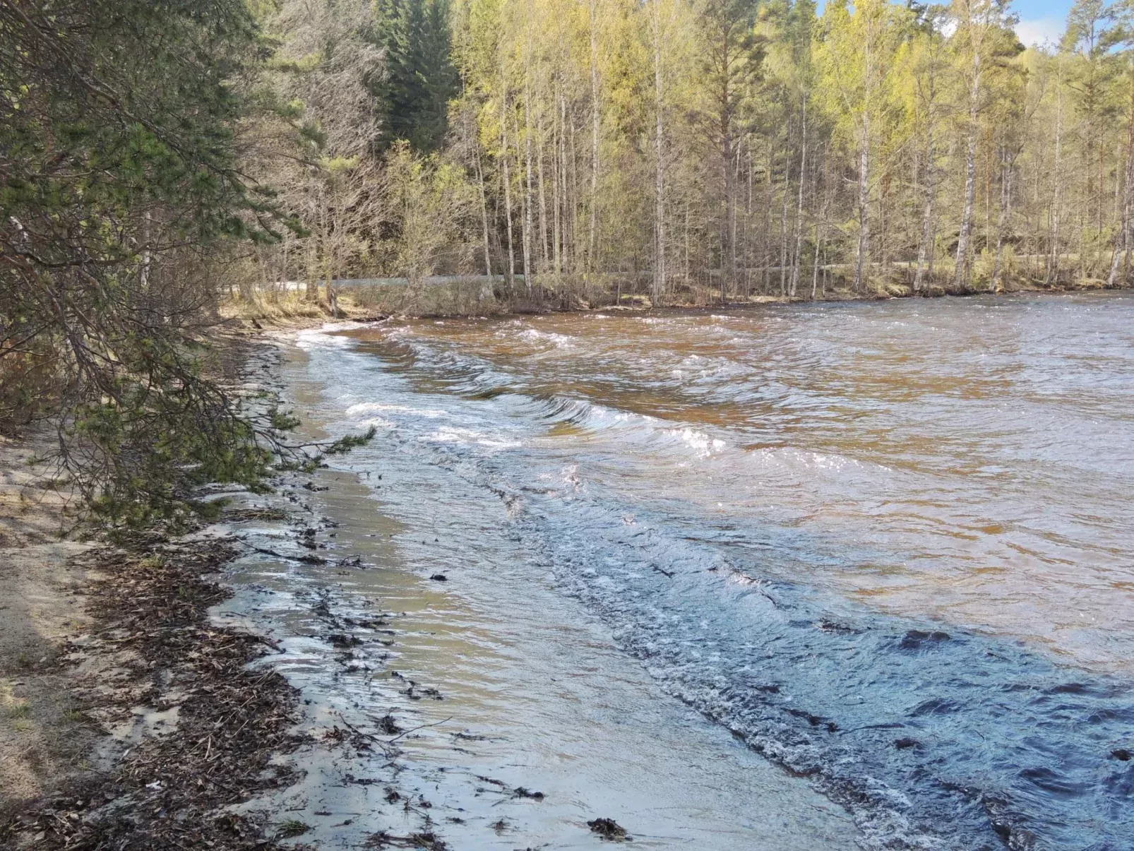 Maunonlahti-Buiten
