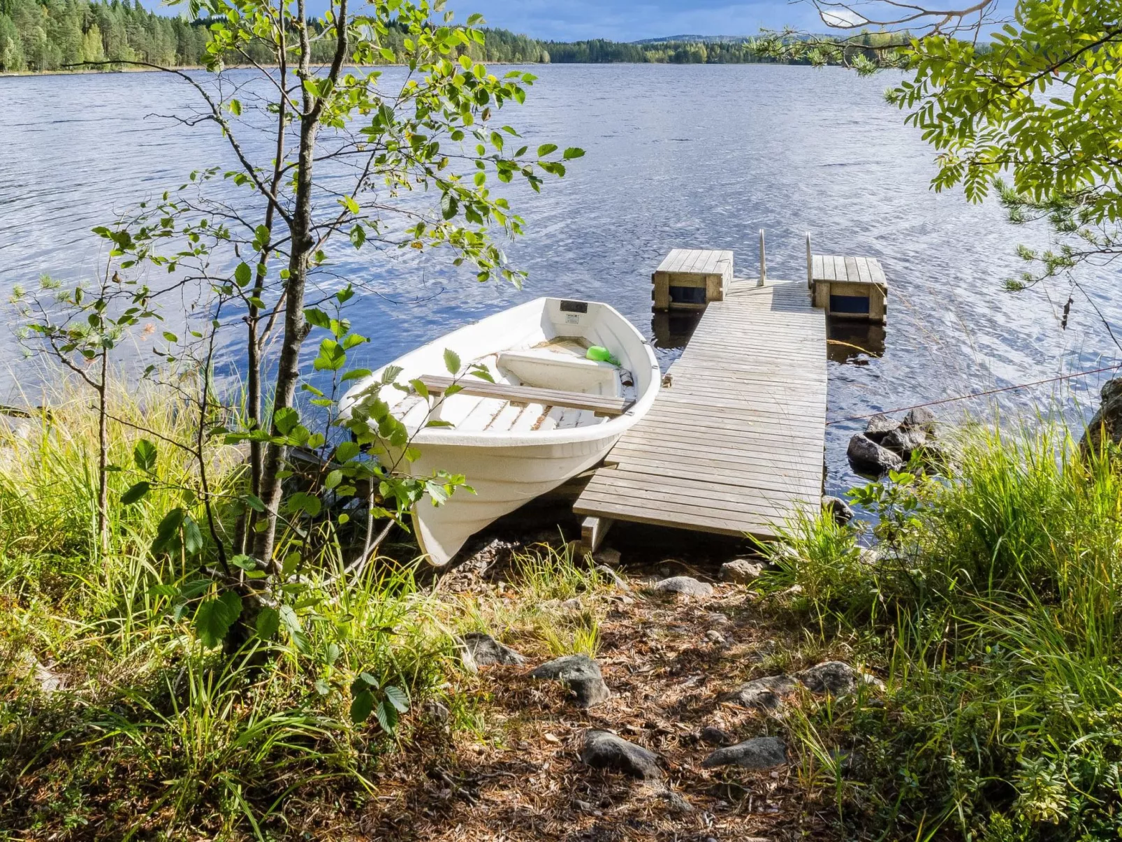 Metsätähti
