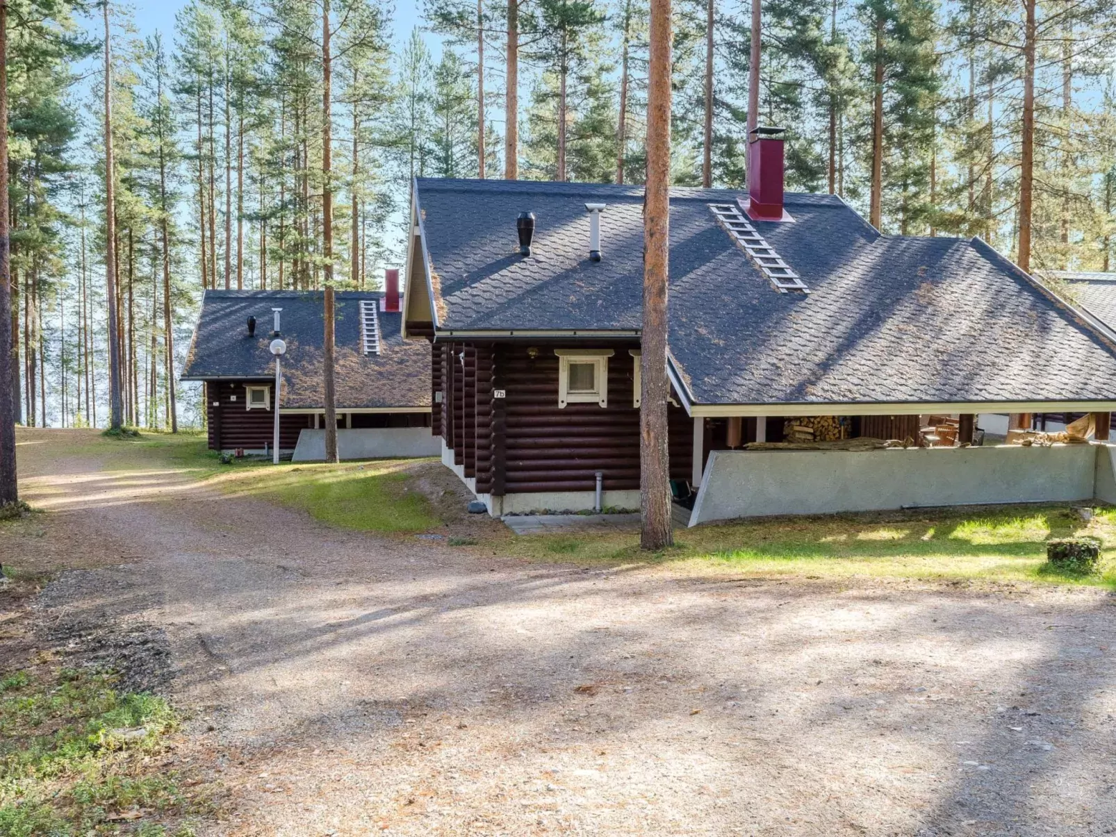 Honkakoli 3-Buiten