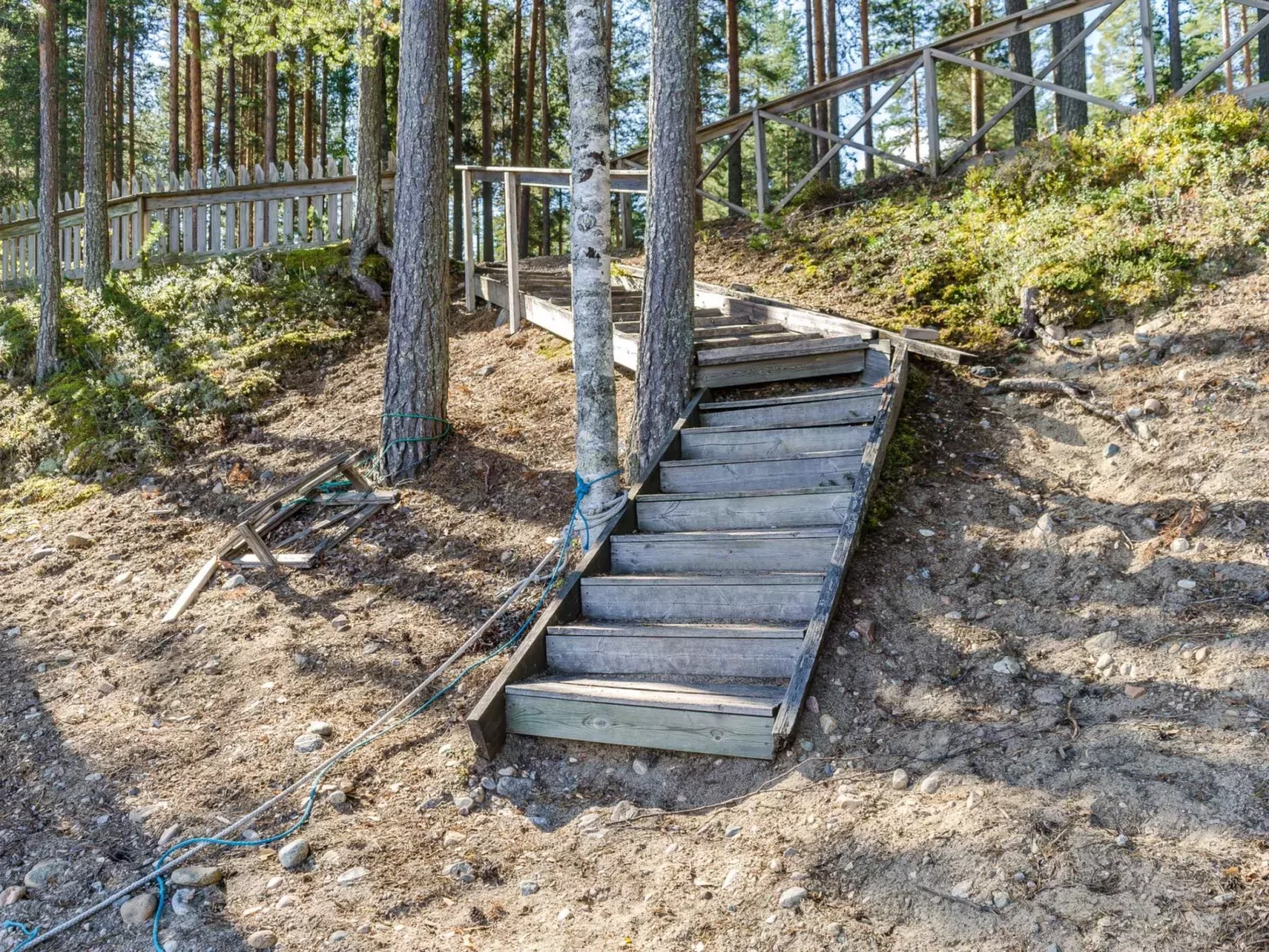Honkakoli 3-Buiten