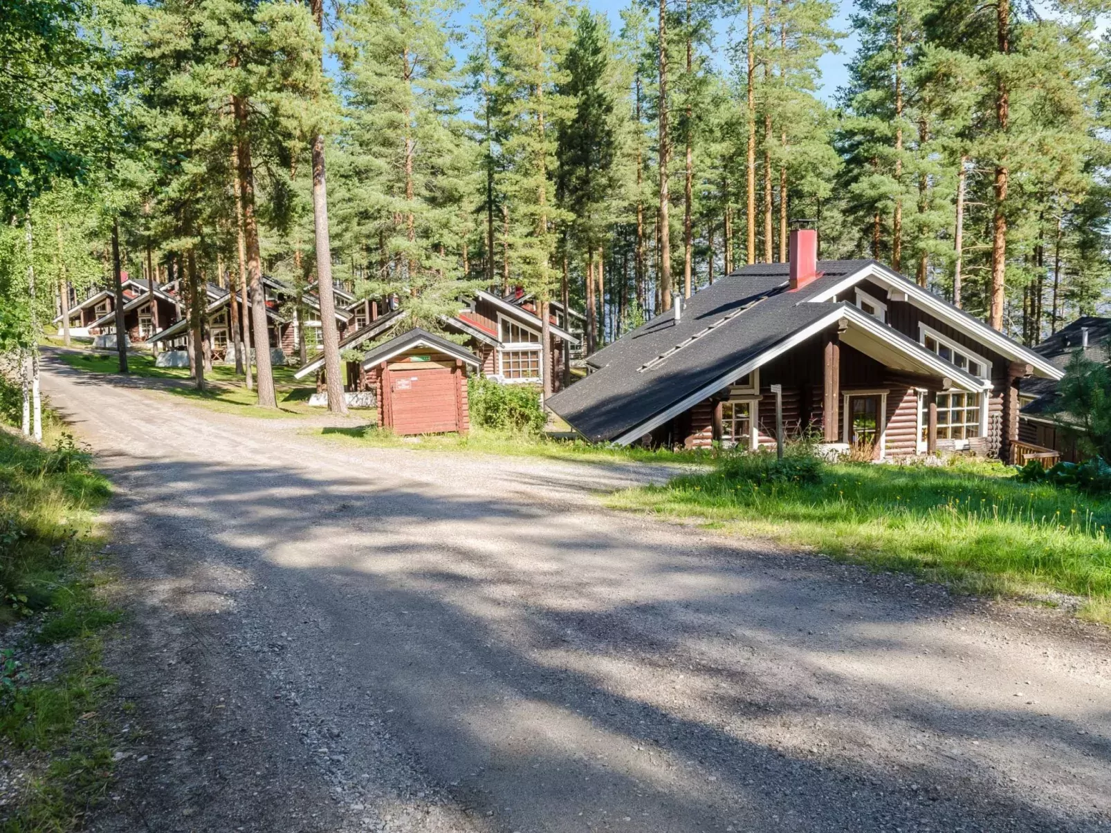 Honkakoli 3-Buiten