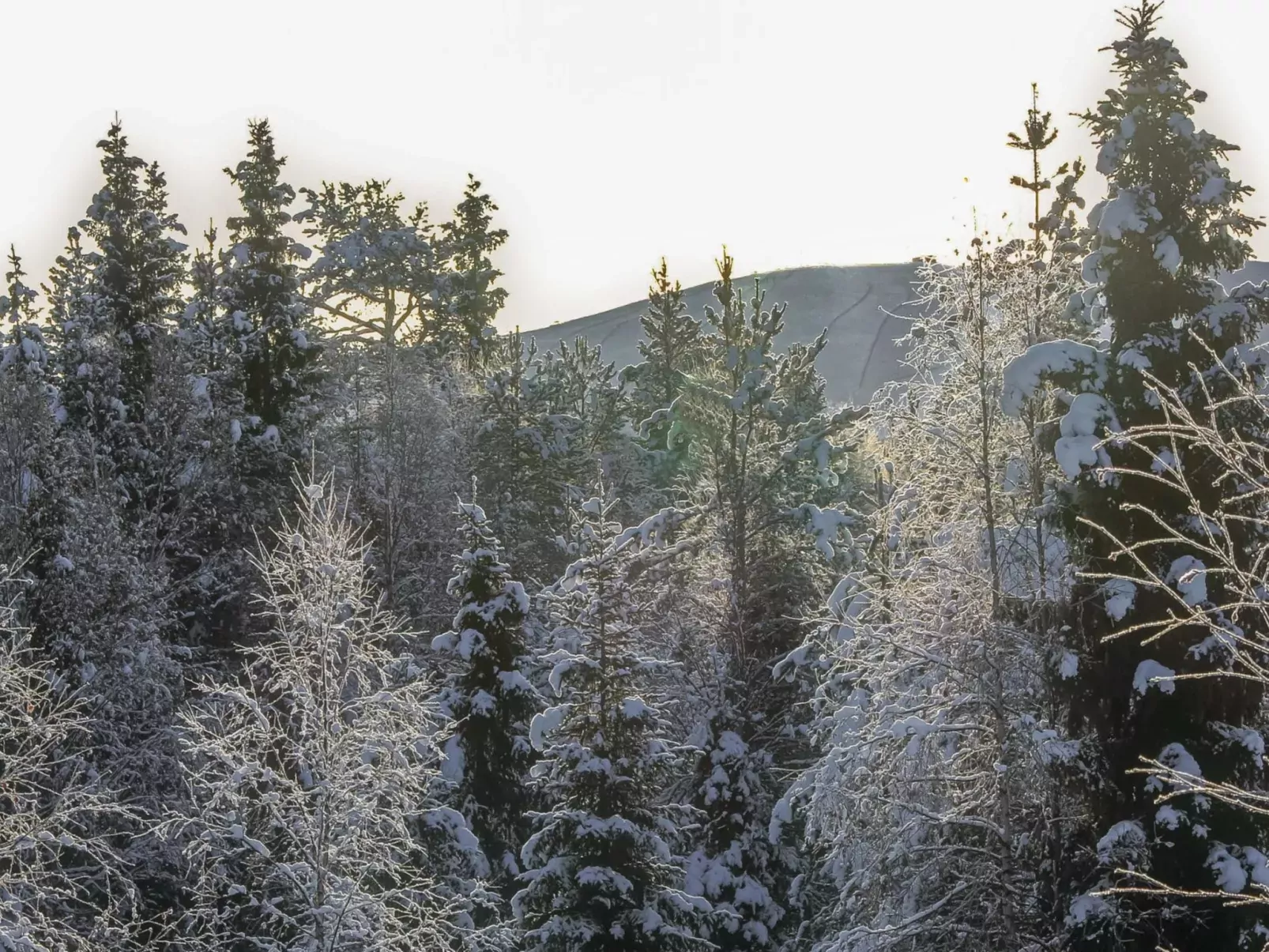 Lapland happiness / skistar 201-Binnen