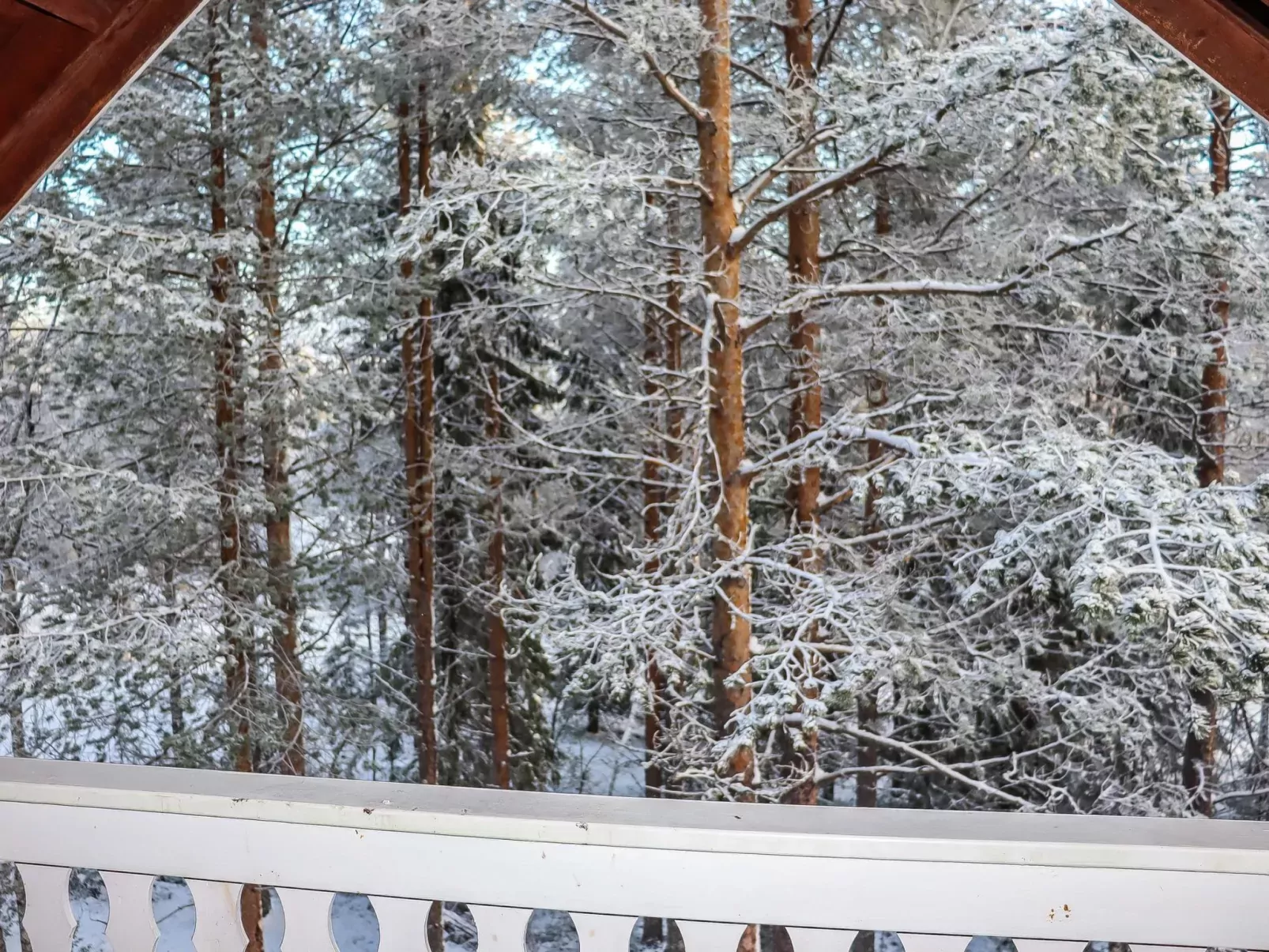 Alppikylä 8a paritalo-Binnen
