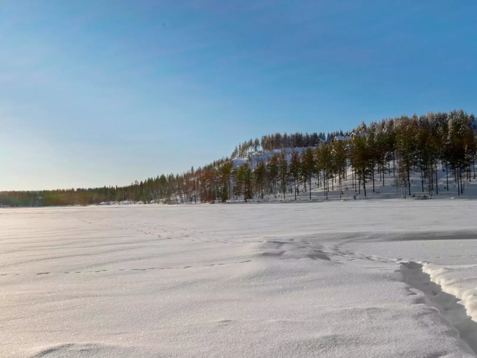 Hallantytär a1 paritalo-Buiten