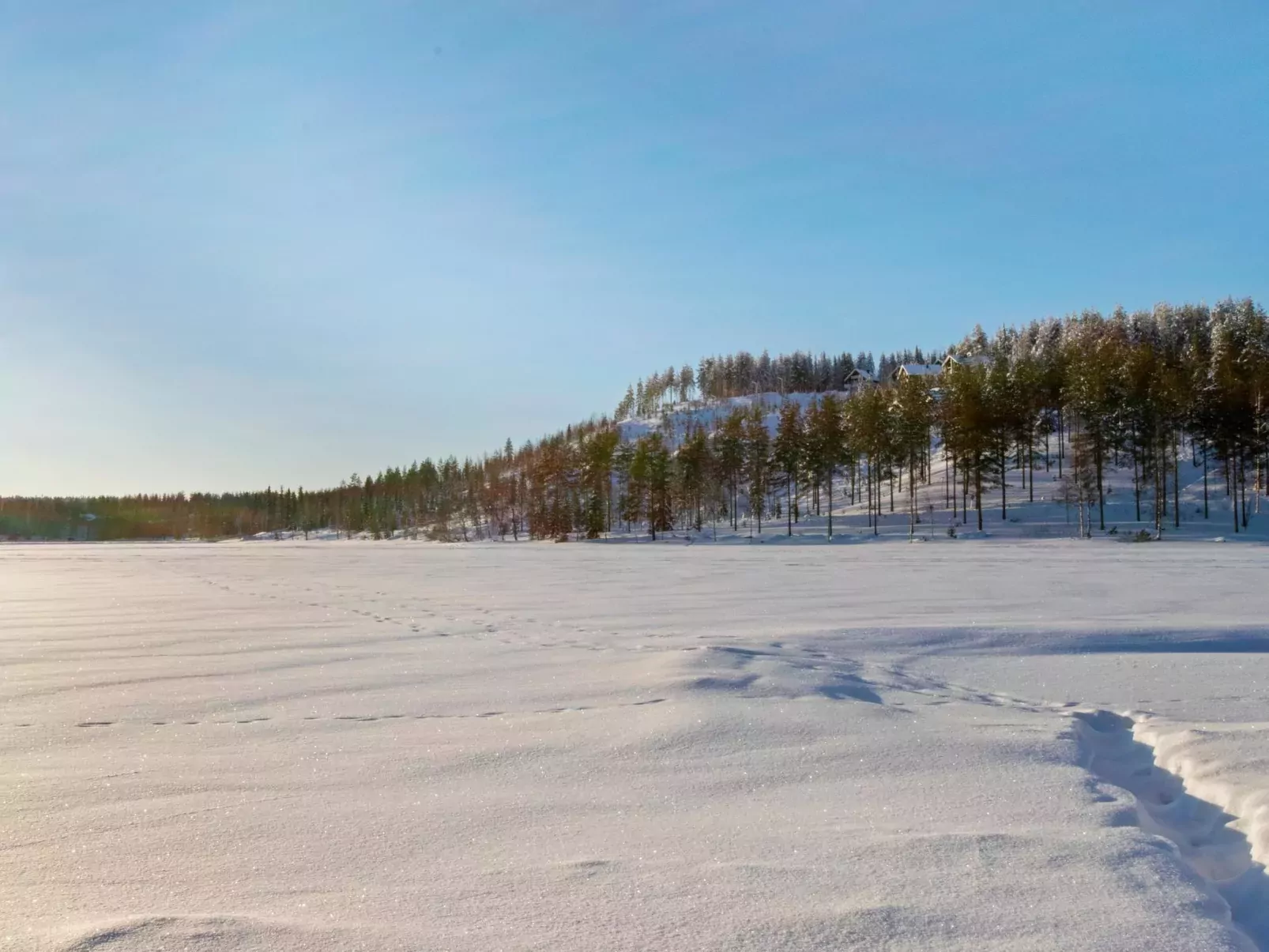 Hallantytär a2 paritalo-Binnen