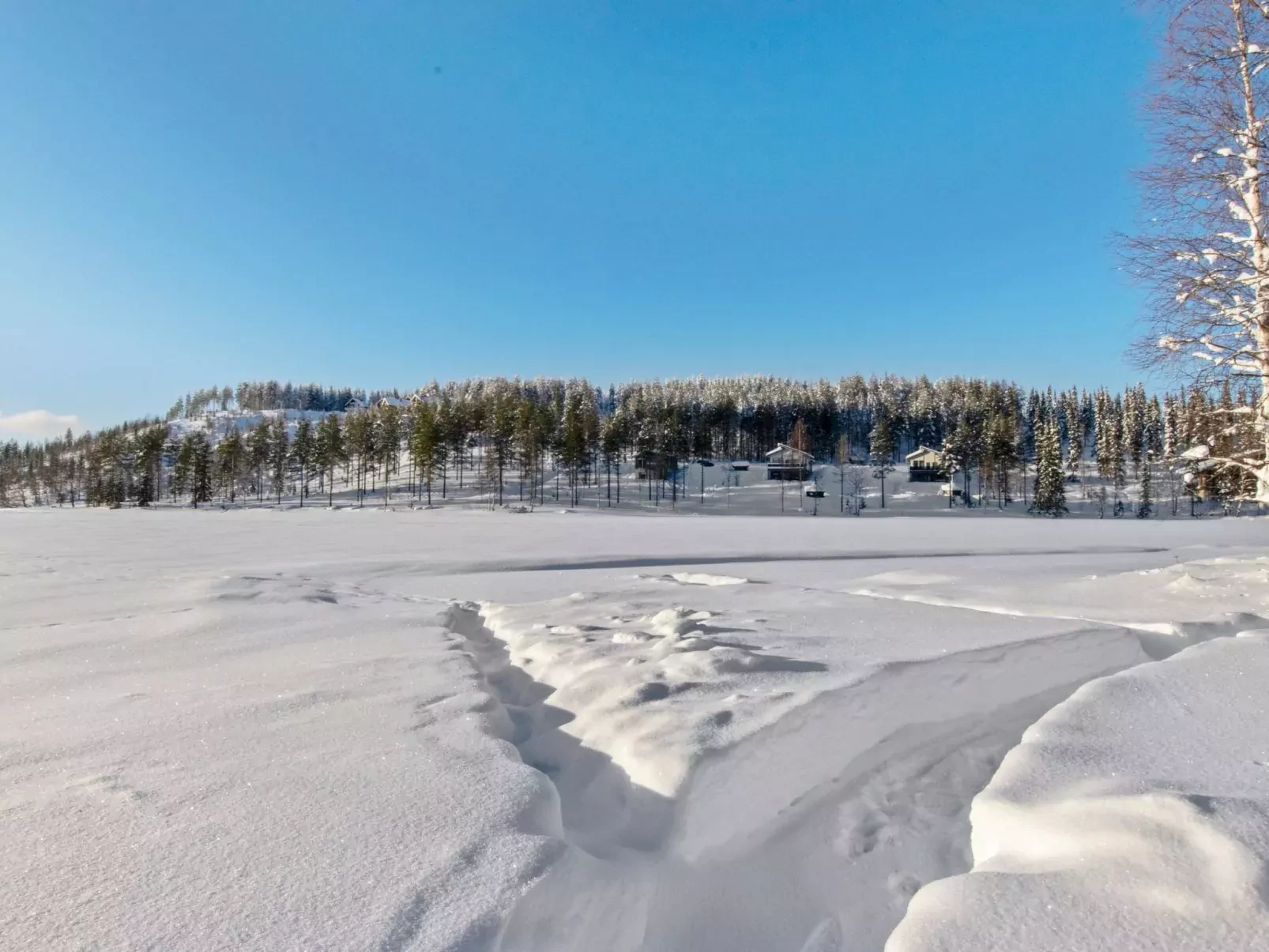 Hallantytär b3 paritalo-Buiten