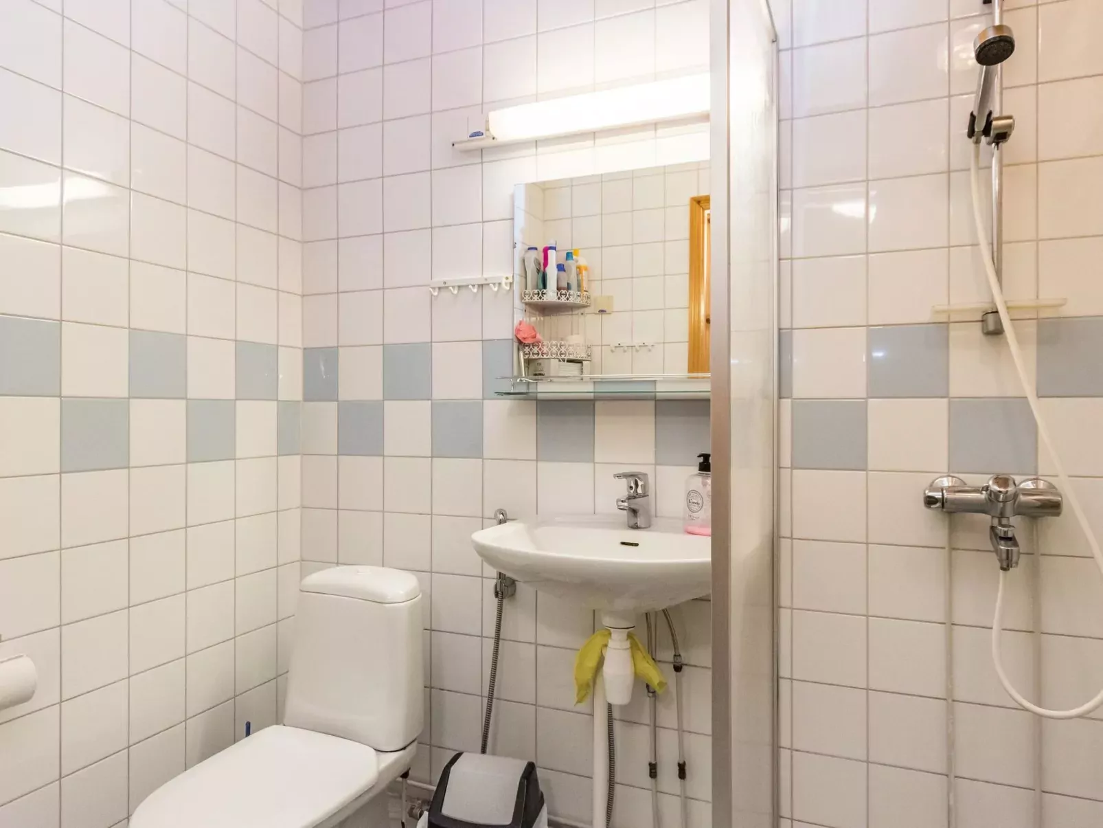 Paljakan pirtit a1-Binnen