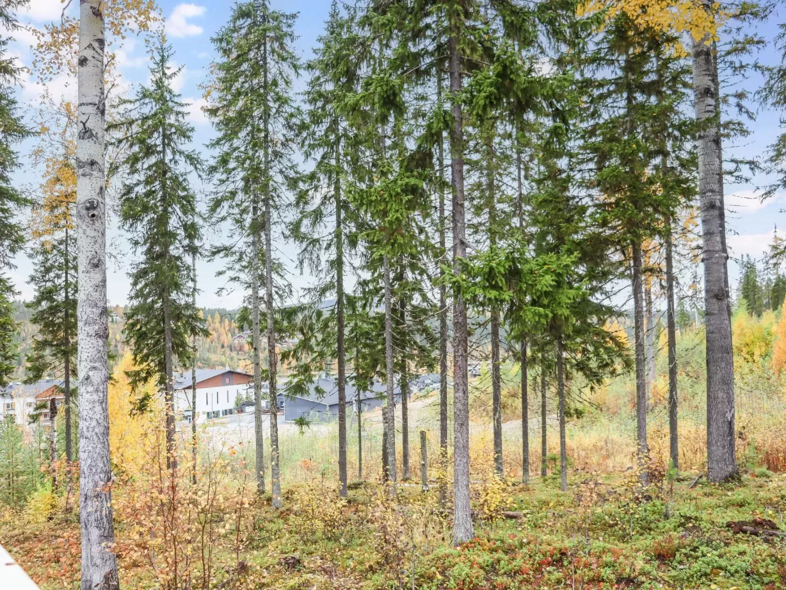 Isohukka-Buiten