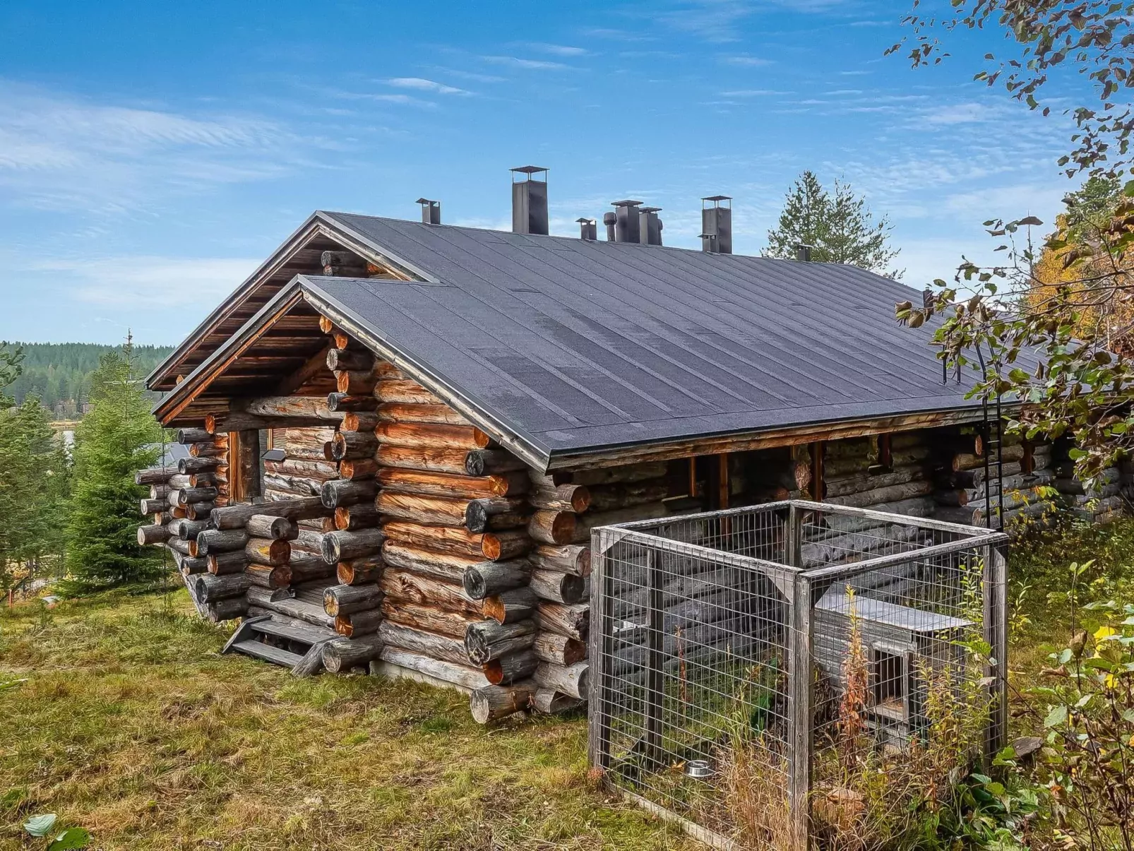 Sallanhelmi c2-Buiten