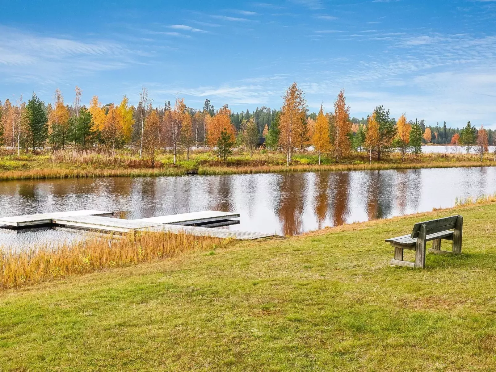 Sallanhelmi c1-Buiten