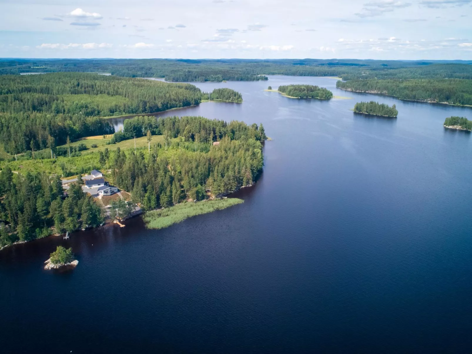 Vapunkärki