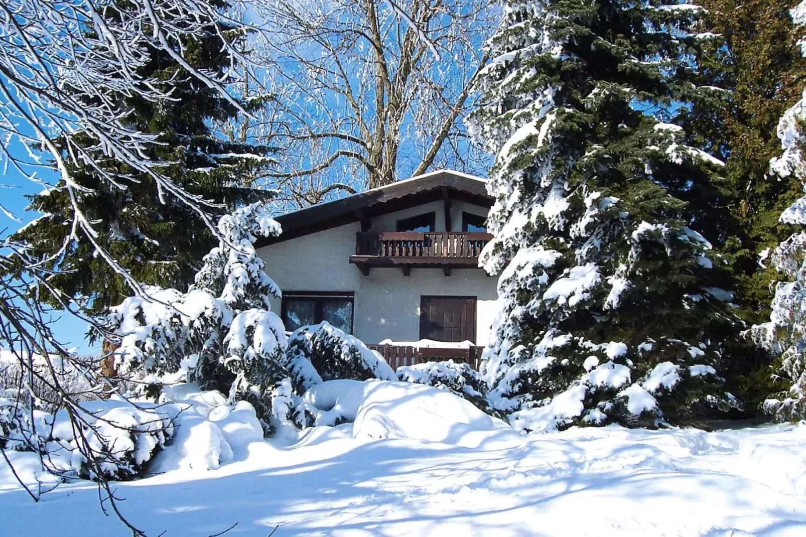 Ferienhaus Jagdshof-Exterieur winter