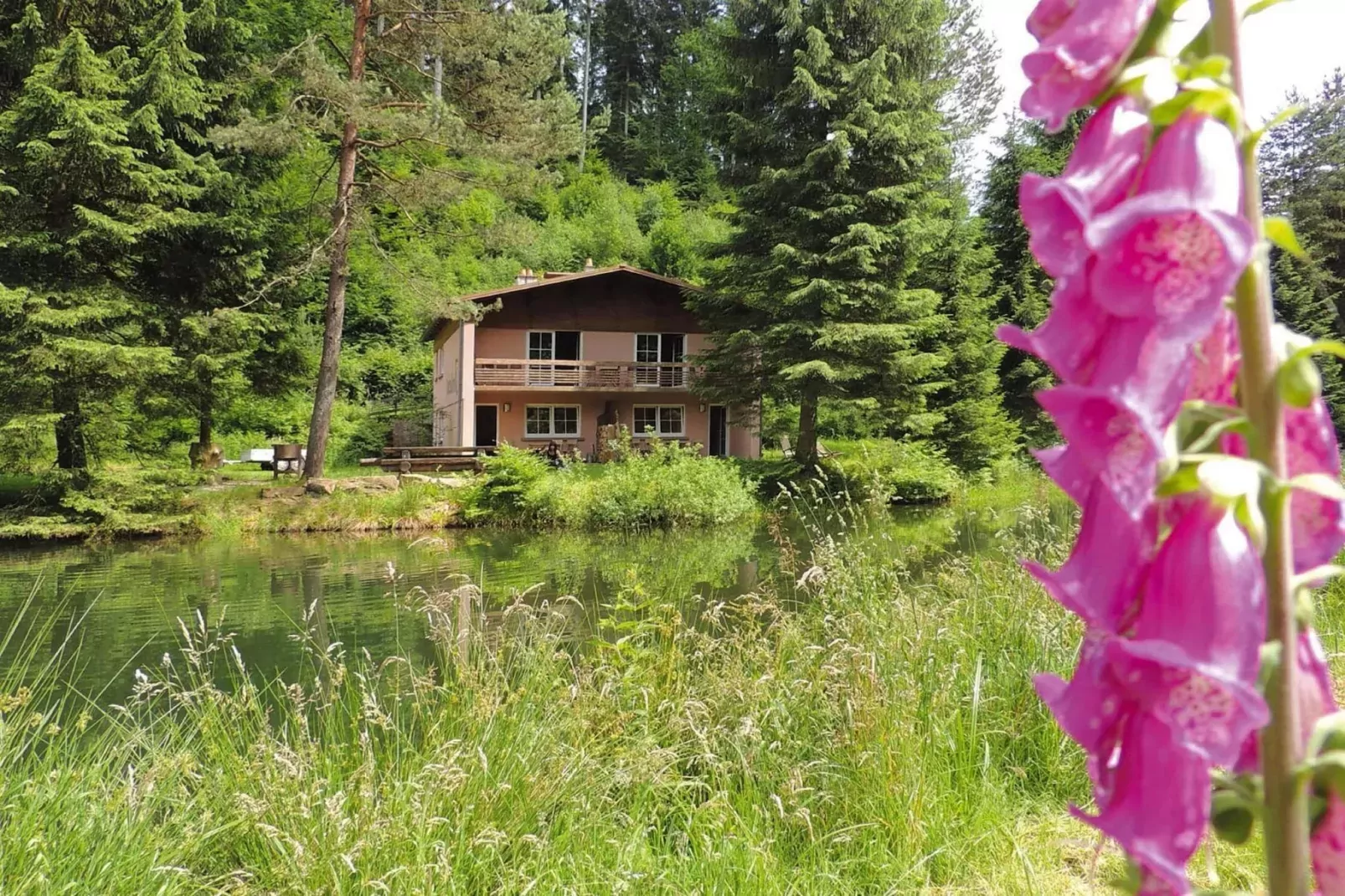 Holiday flats Forellenhof Dabo // Typ C 7 Pers 95 qm-Uitzicht zomer