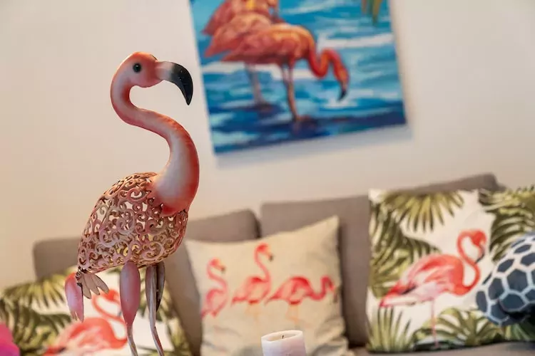 Ferienwohnung Flamingo-Sfeer