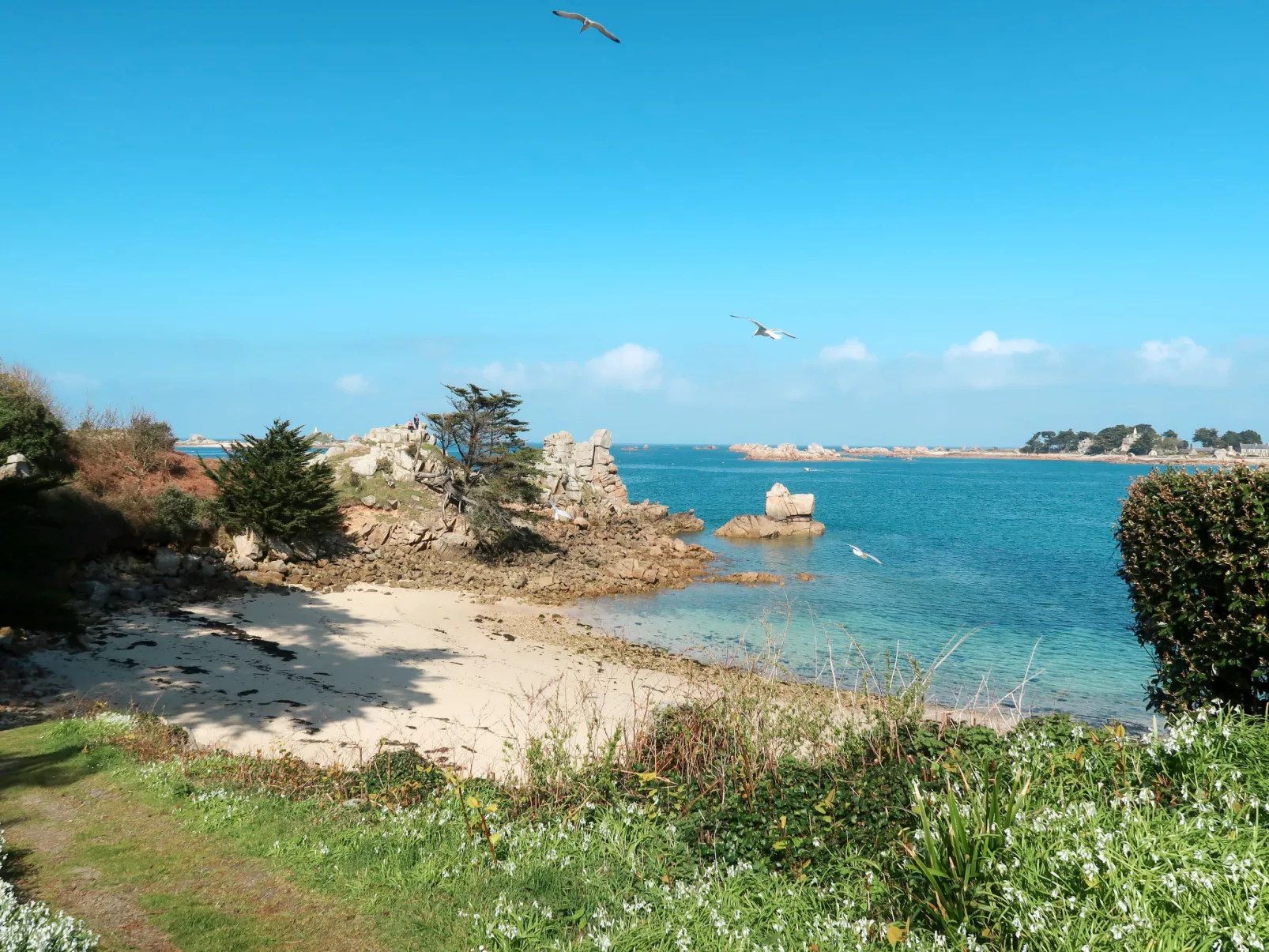 La Rotonde-Omgeving
