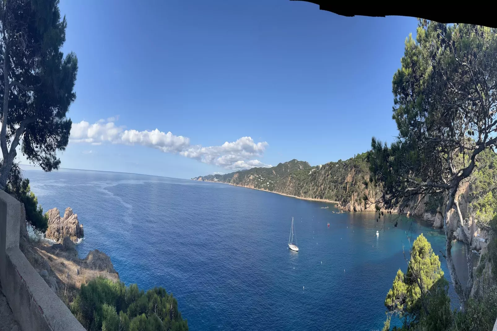 Montecarlo-Gebieden zomer 1km