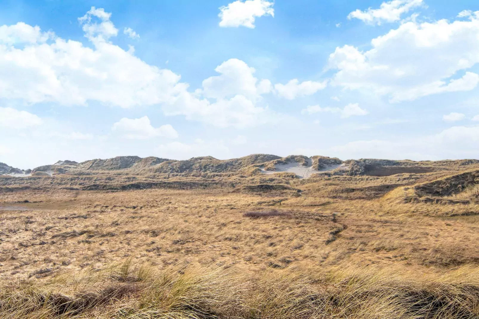 9 persoons vakantie huis in Ringkøbing-By Traum-Uitzicht