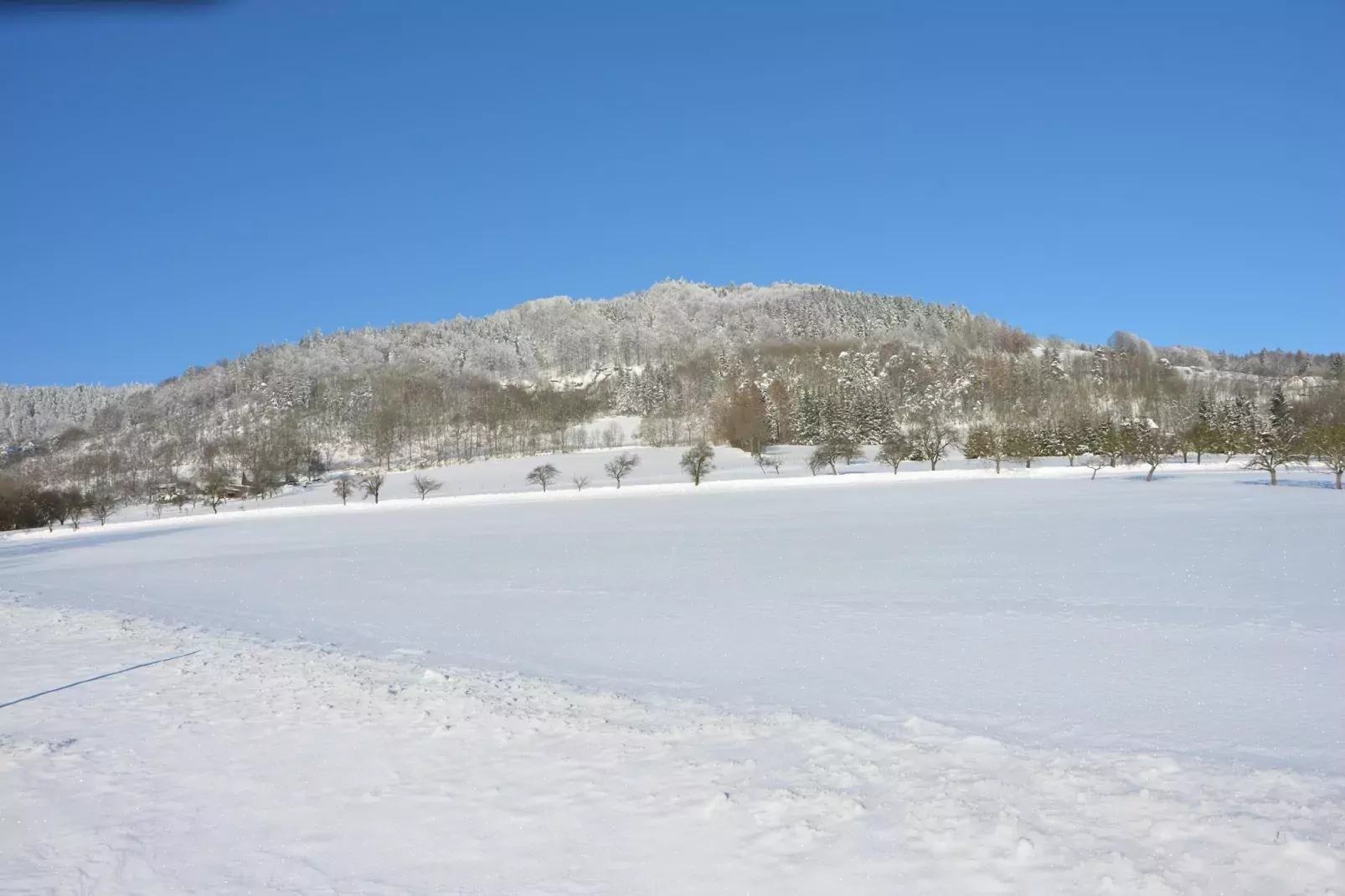 Vladka-Gebied winter 1km