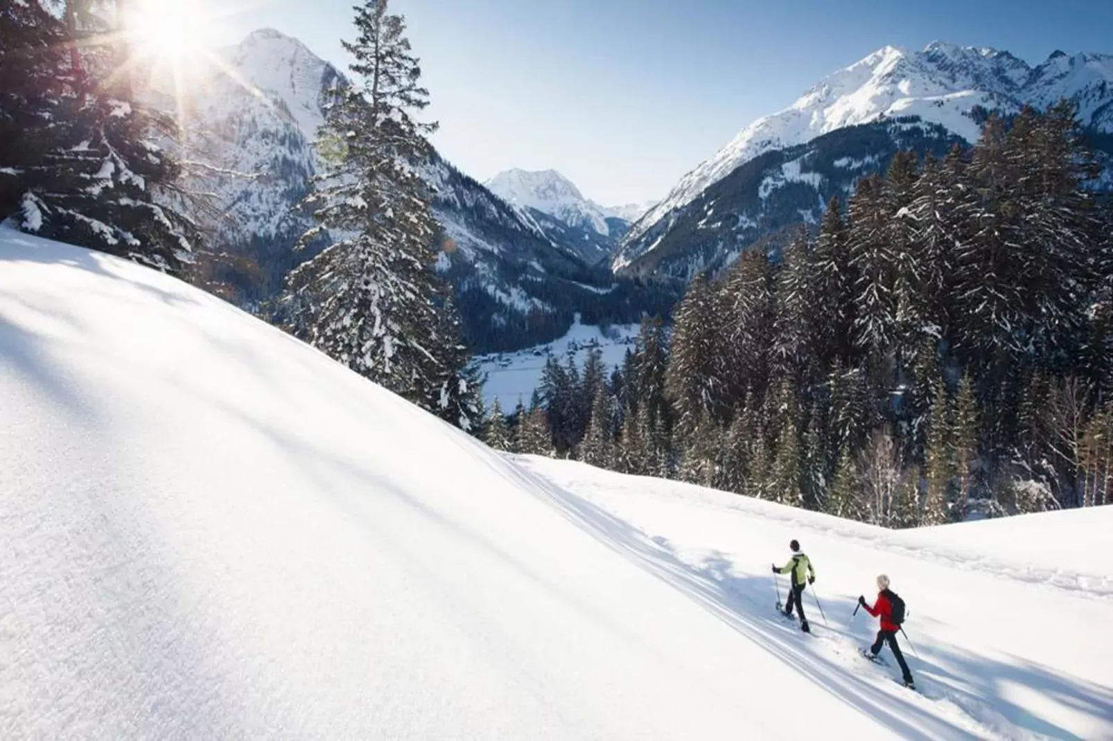 Haus Schedler - Wiesenblick-Gebied winter 5km