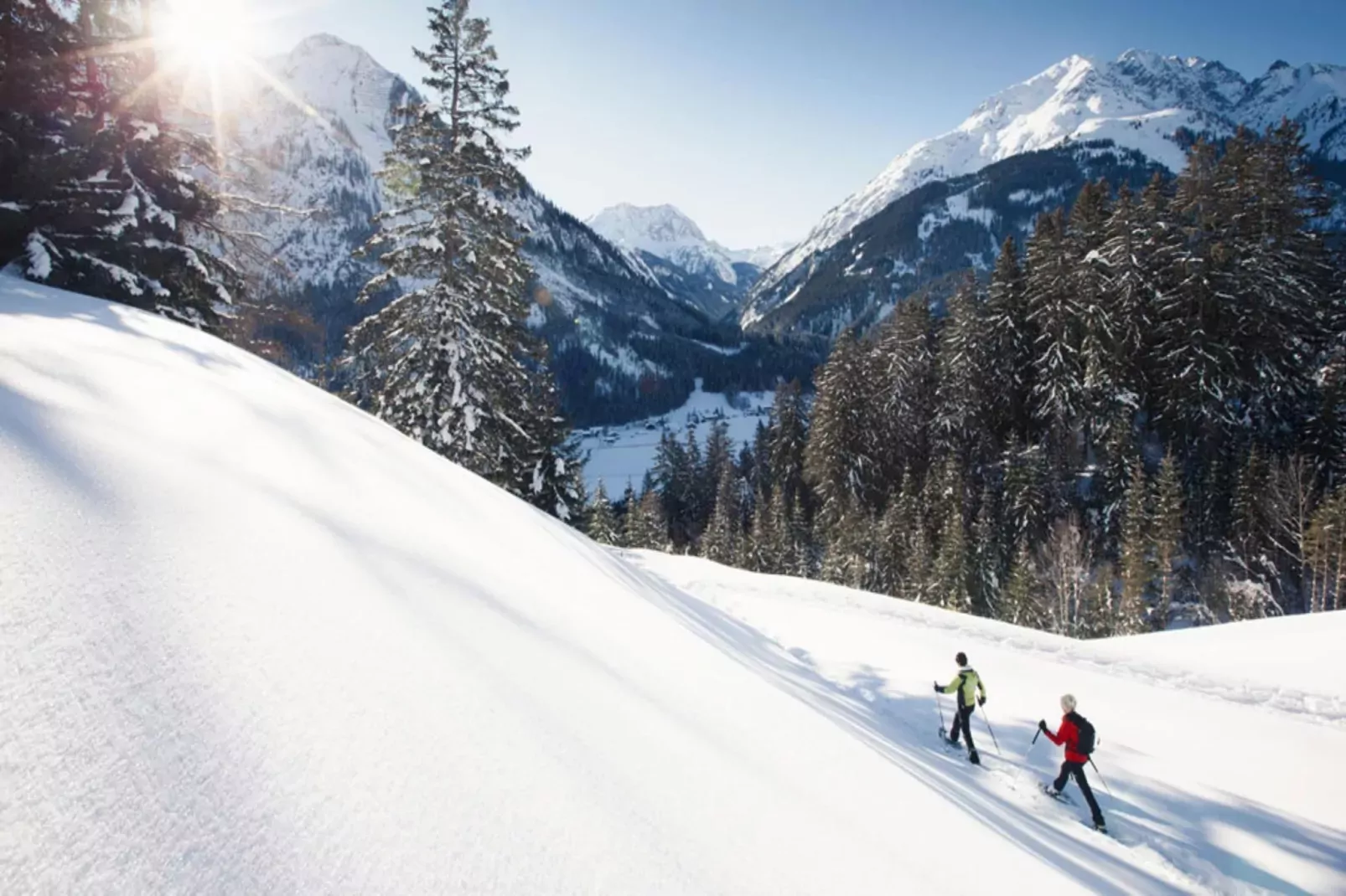 Haus Schedler - Gipfelblick-Gebied winter 5km