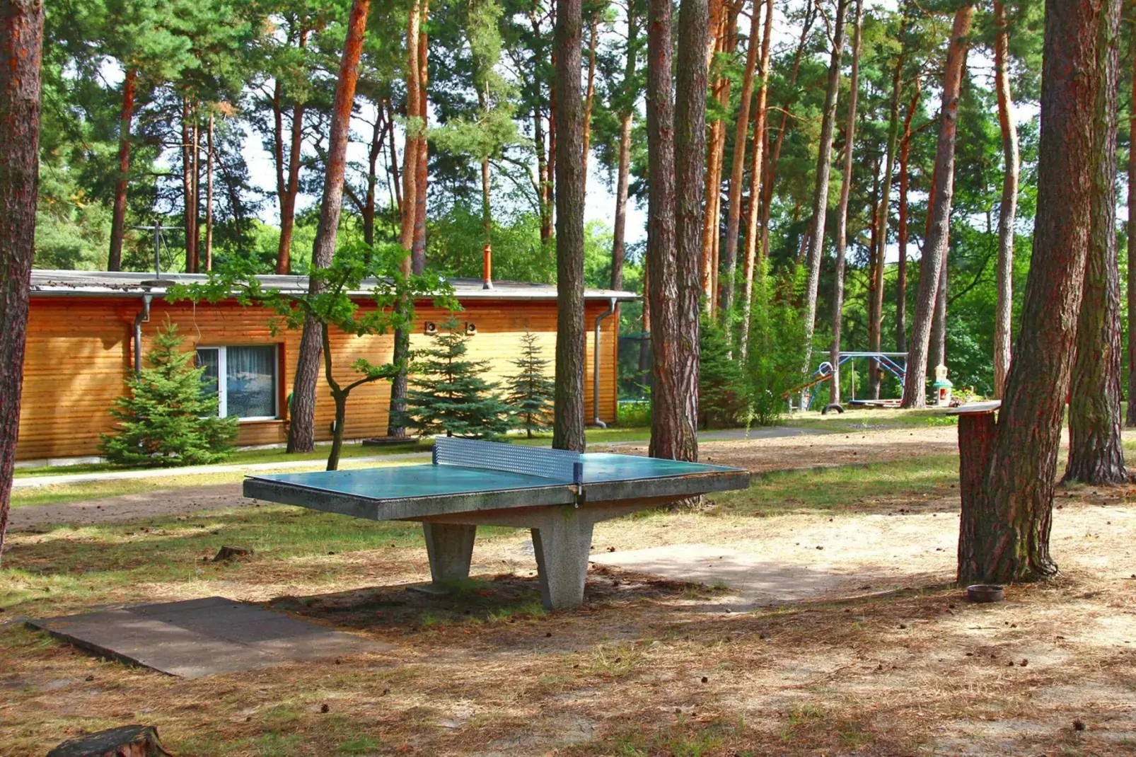 Bungalow 47 qm 4 Pers-Gebieden zomer 1km