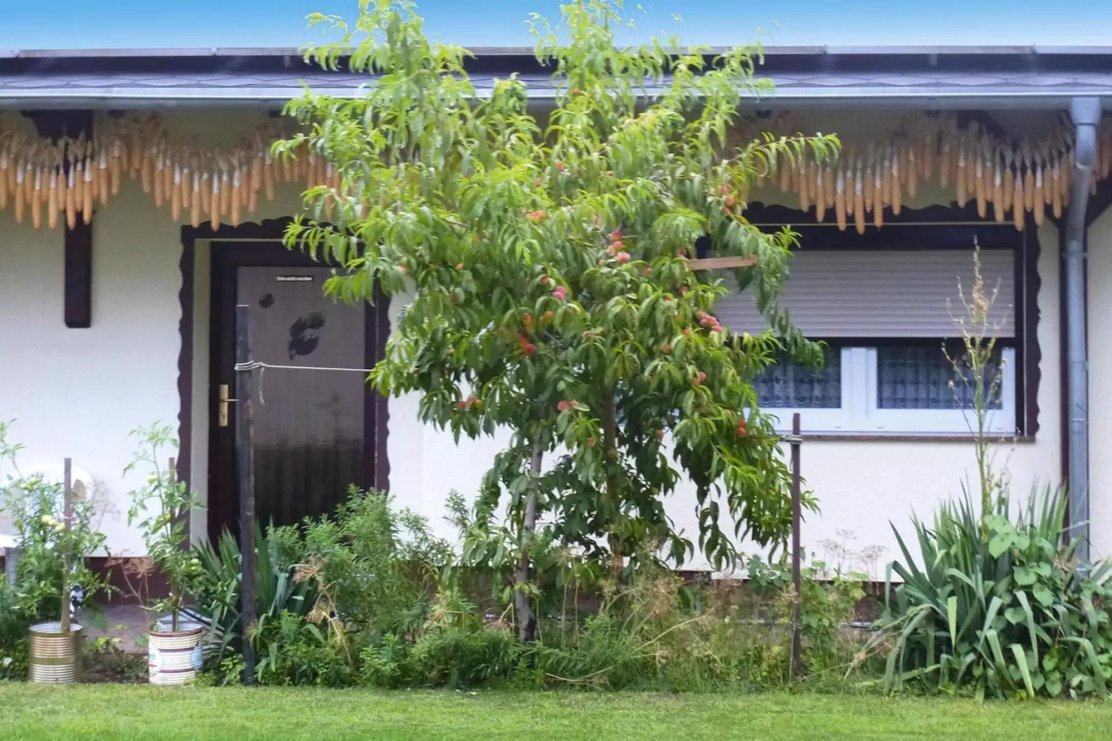 Reihenbungalow an einem Spreearm-Buitenkant zomer