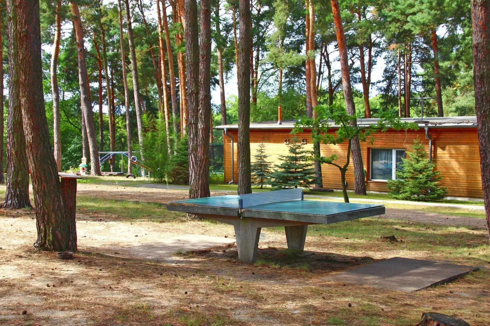 Bungalow 47 qm 4 Pers-Gebieden zomer 1km