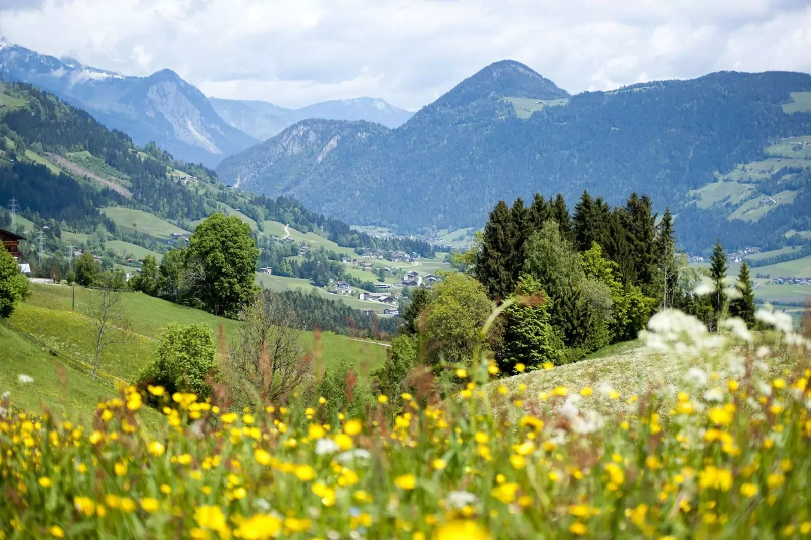 Apart Resort Fügenerhof - 2-Raum Typ 1-Gebieden zomer 5km