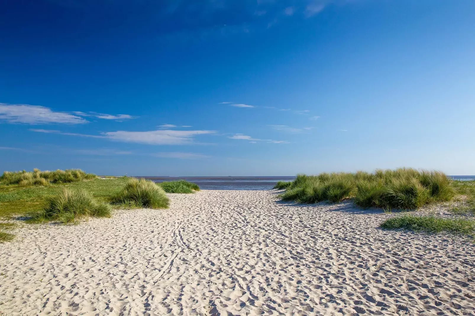 Luxe retraite aan zee -- By Traum Ferienwohnungen