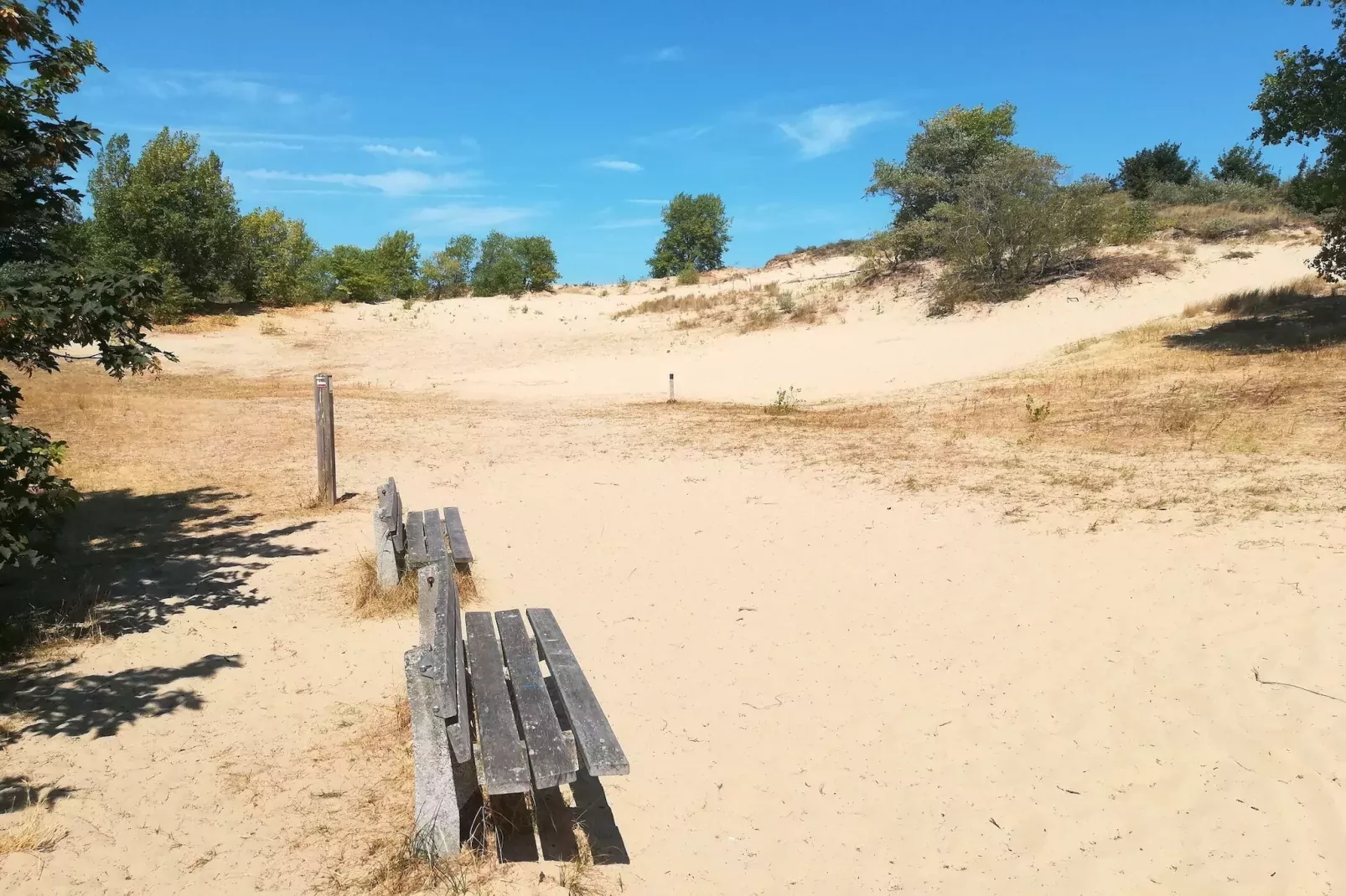 Magellan 701-Gebieden zomer 5km