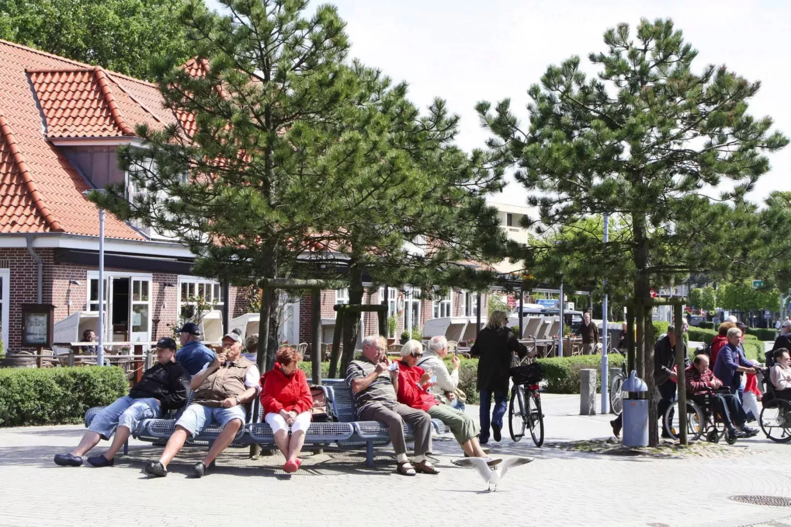 Ferienwohnung Springfloot 2 St Peter-Ording-Gebieden zomer 1km