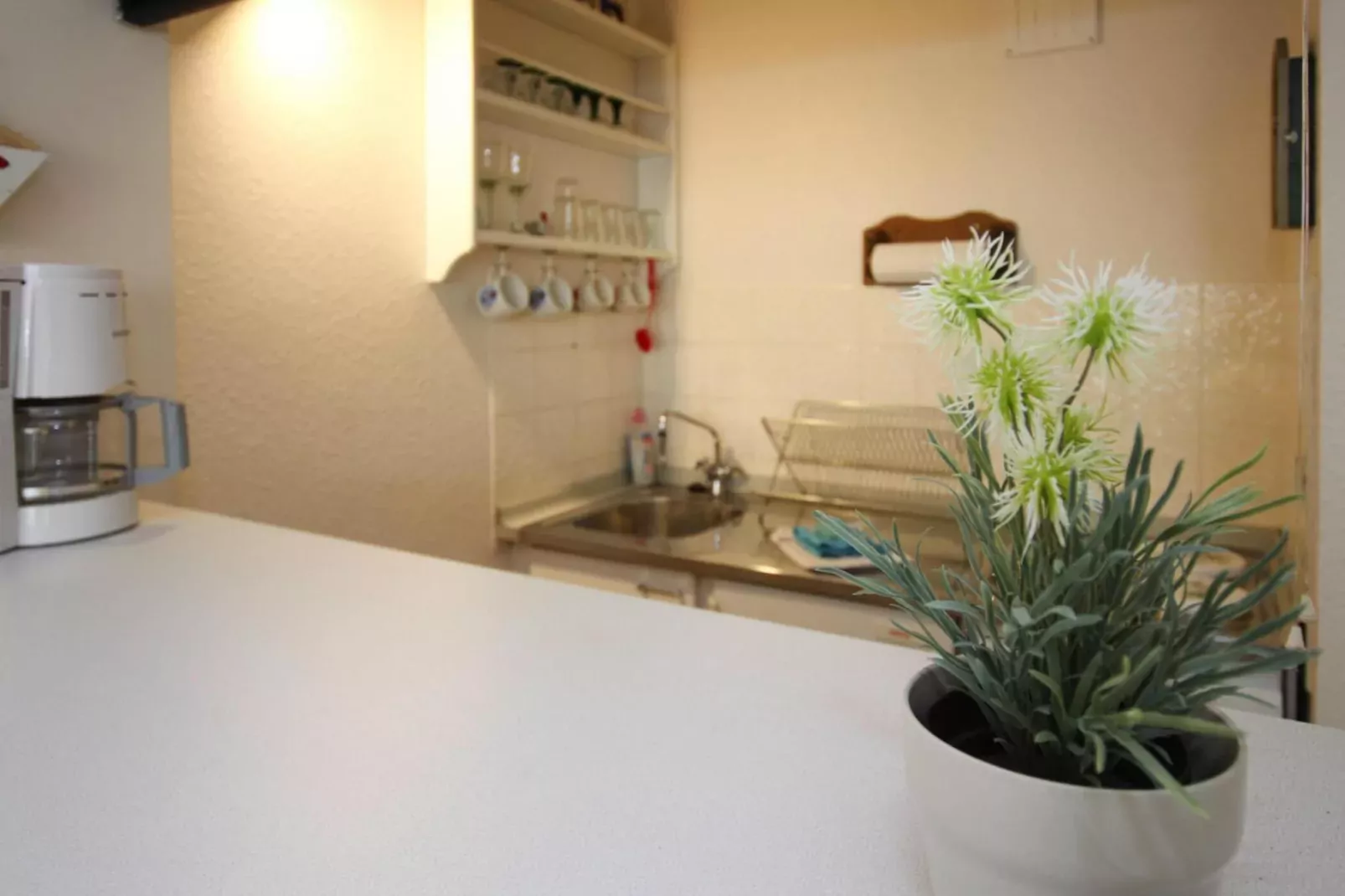 Ferienwohnung Atlantic St Peter - Ording-Keuken