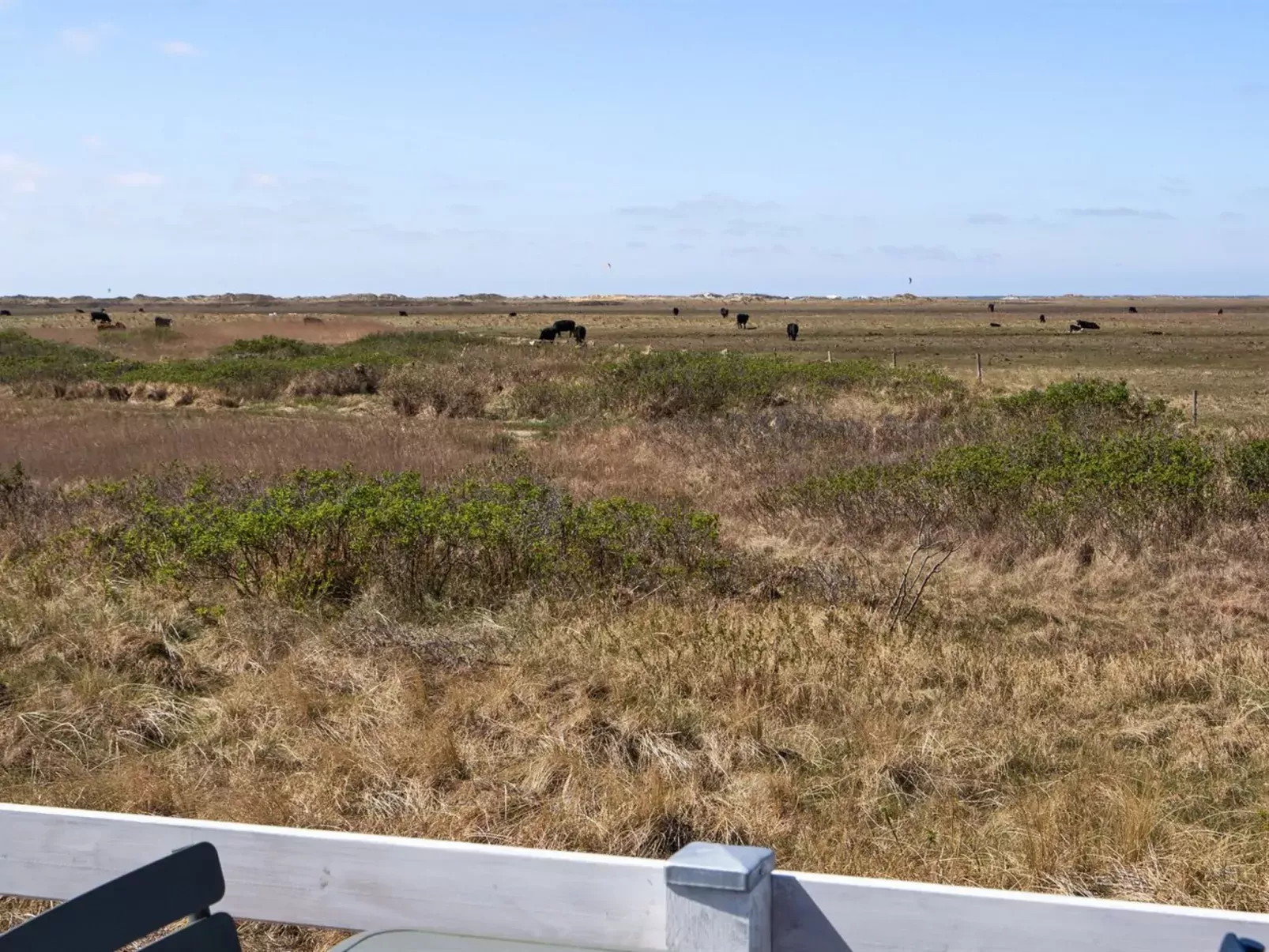 "Blomma" - 350m from the sea-Buiten