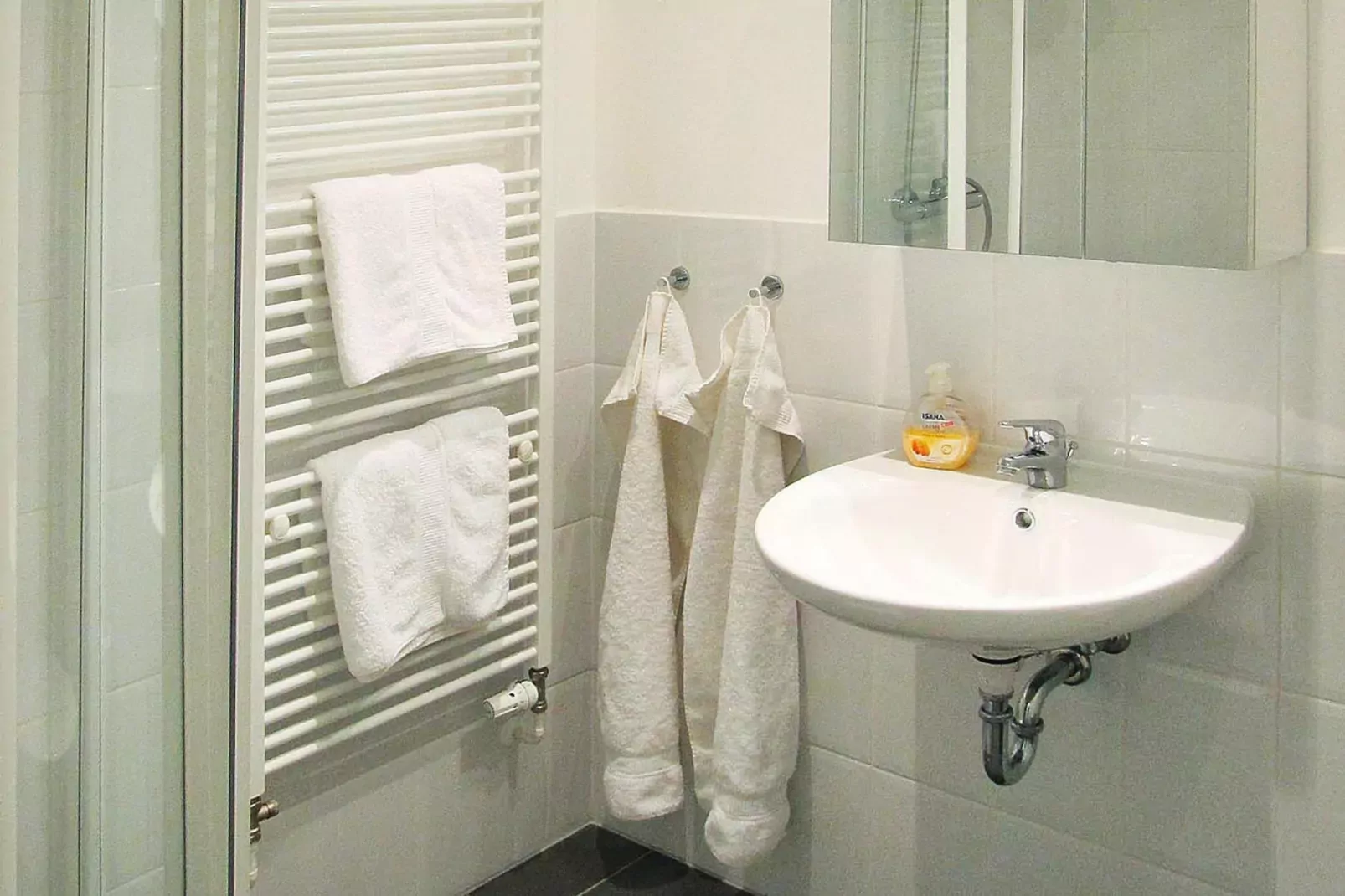 Gutshaus Zicker -Wohnung 11-Badkamer