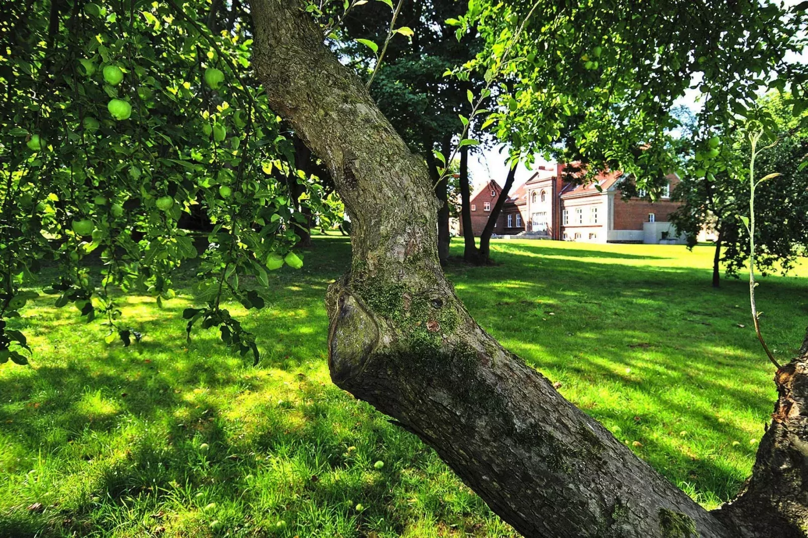 Gutshaus Zicker -Wohnung 11-Tuinen zomer