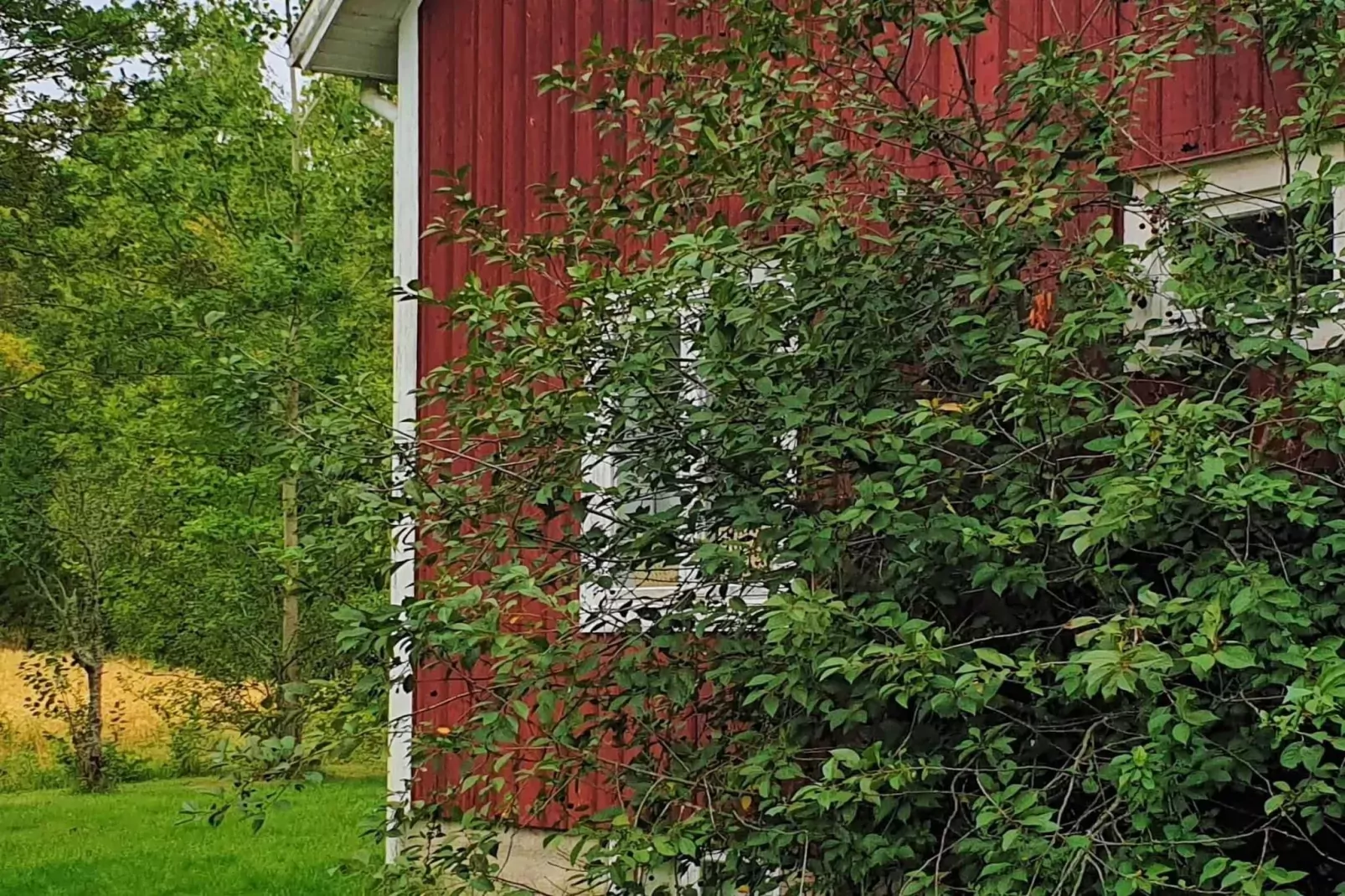 4 persoons vakantie huis in JÄRVSÖ-By Traum-Buitenlucht