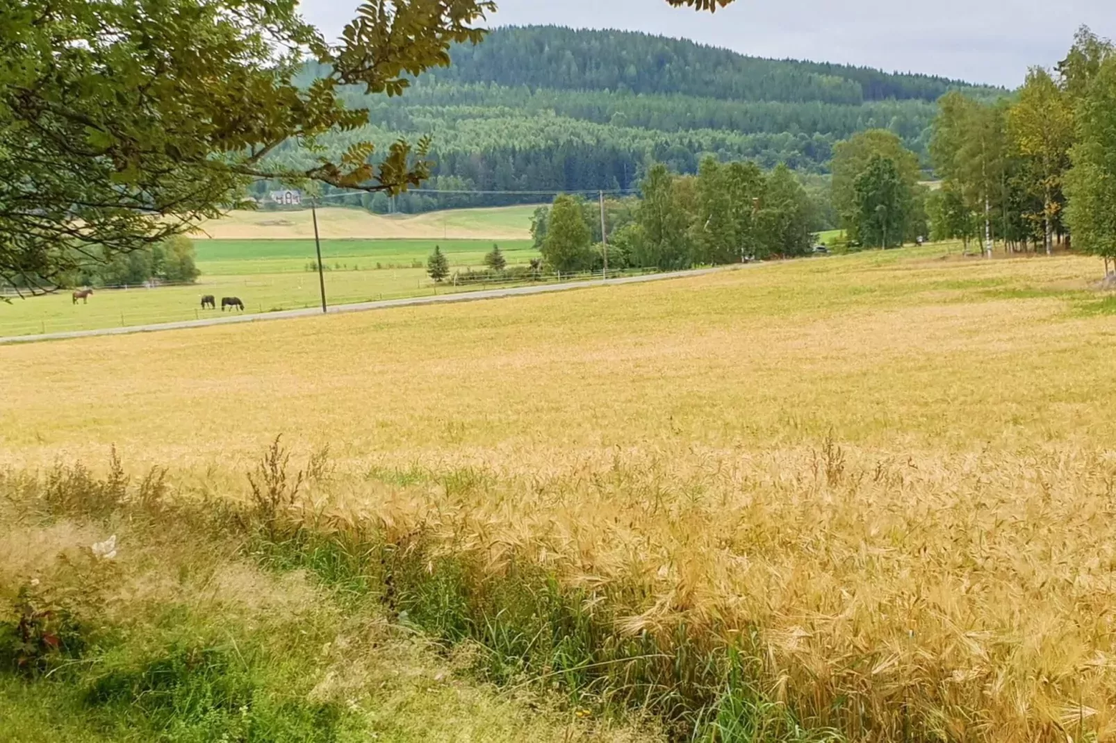 4 persoons vakantie huis in JÄRVSÖ-By Traum-Uitzicht