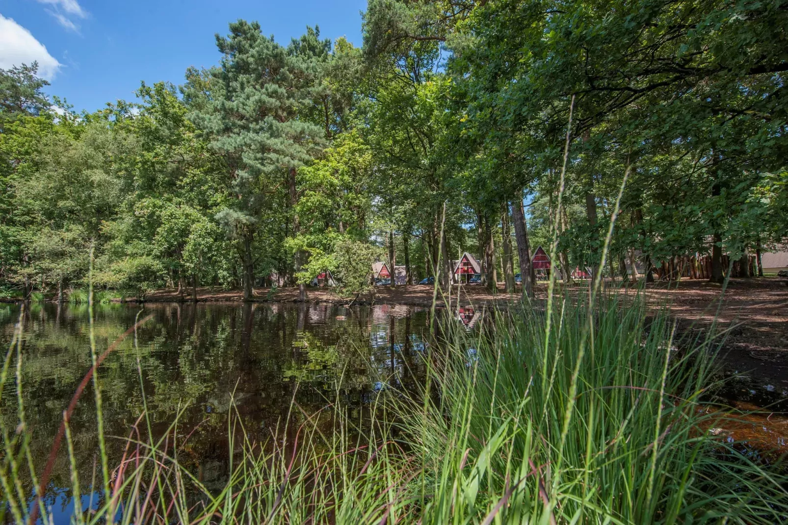 Bospark 't Wolfsven 7-Parkfaciliteiten