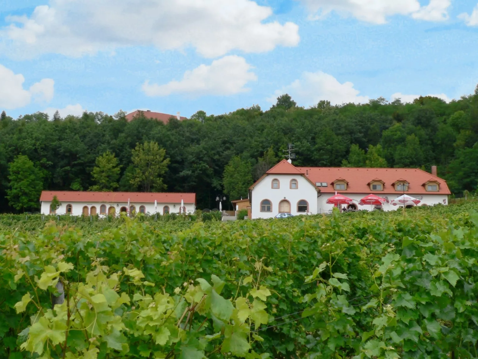 Kojetice na Moravě-Buiten