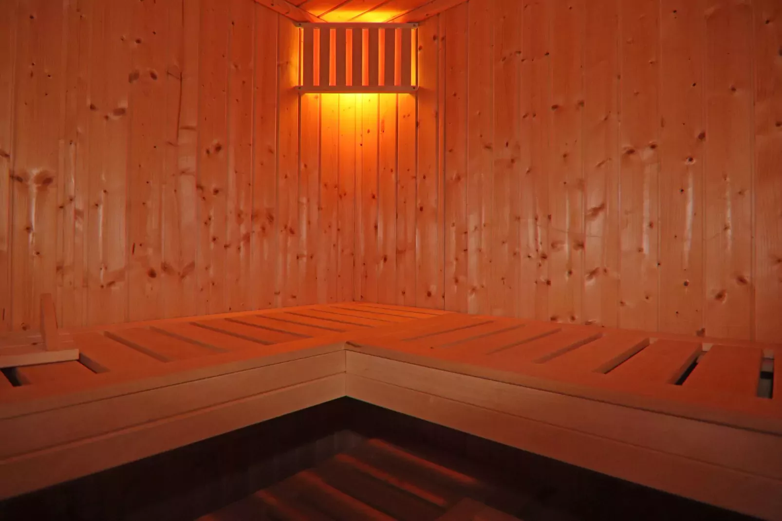 Dünenwaldhaus links Typ 1-Sauna