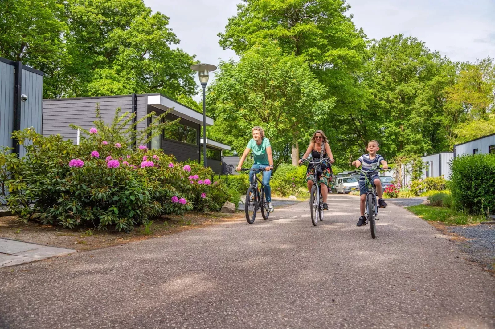 Resort Maasduinen 14-Gebieden zomer 5km