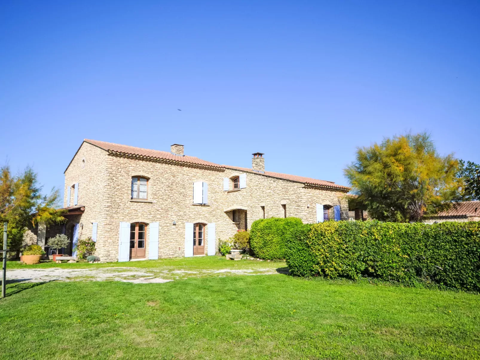 Le Platane